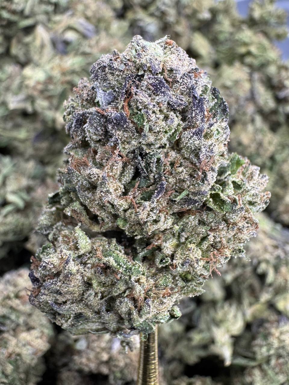 Mochi - THCA BULK FLOWER - CLASSIC RESERVE