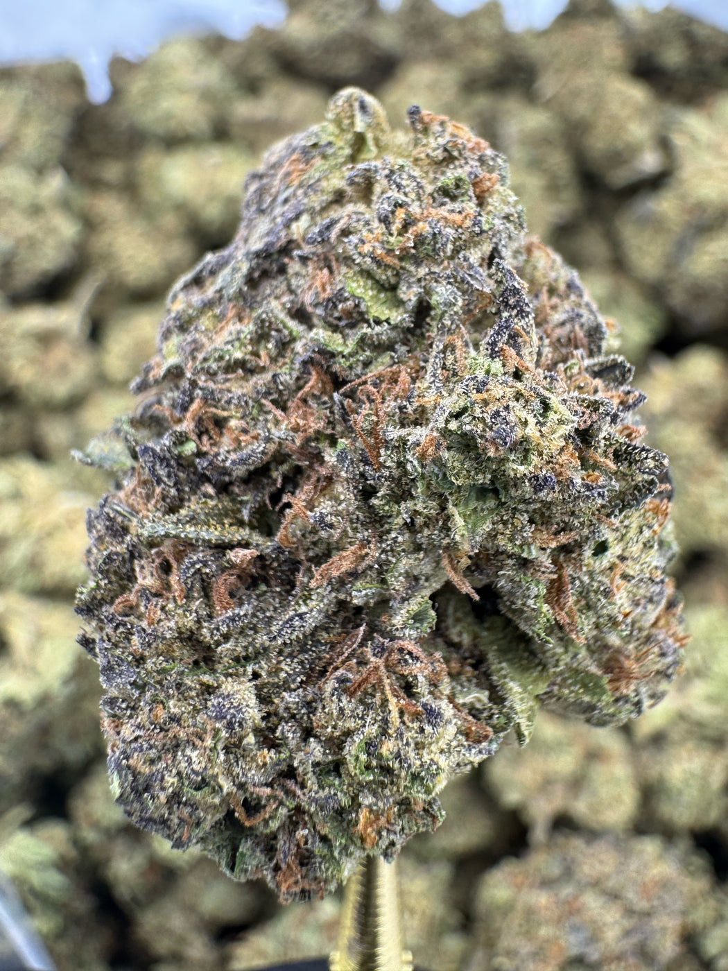 Mochi - THCA BULK FLOWER - CLASSIC RESERVE