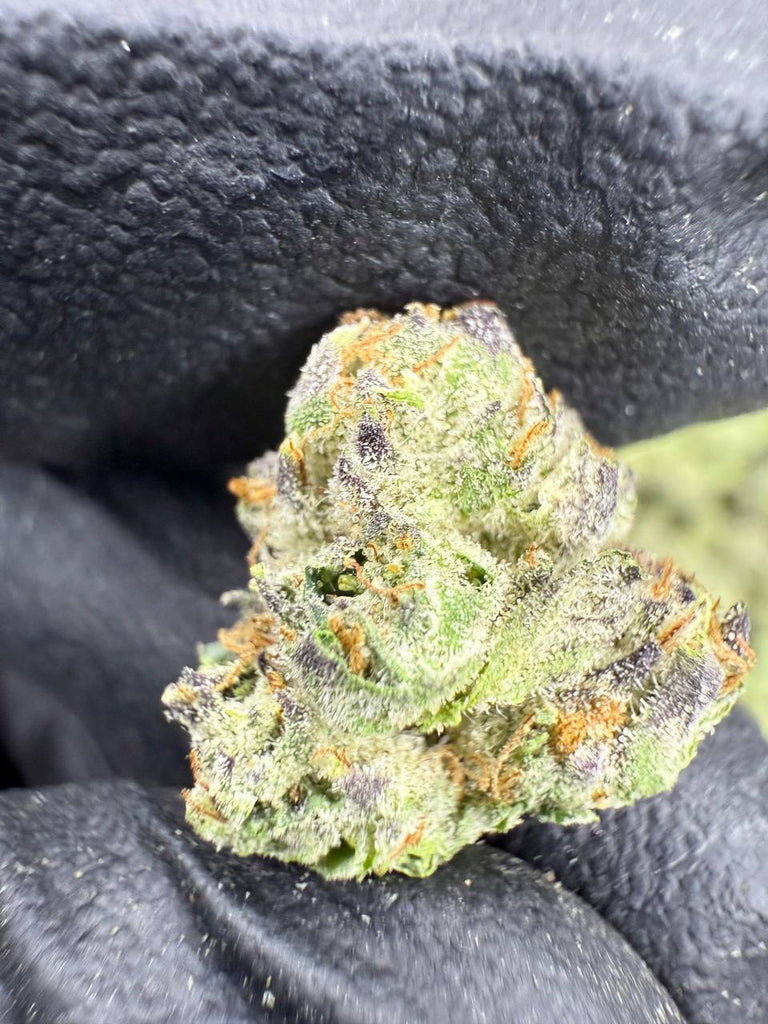 Mochi - Gold Nuggets - THCa Flower EXOTIC SMALLS