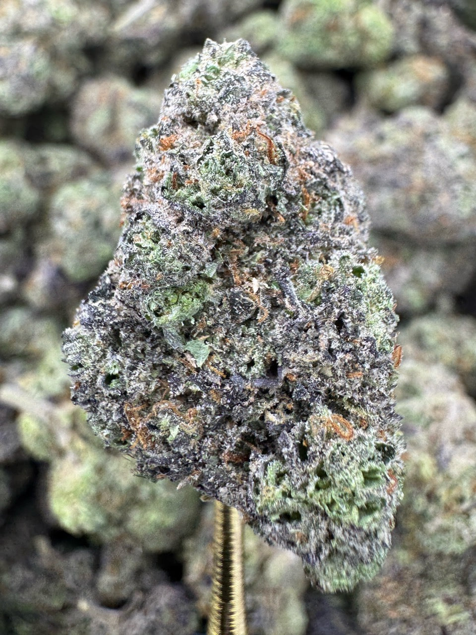 Mochi - THCA BULK Flower - Indoor Exotic