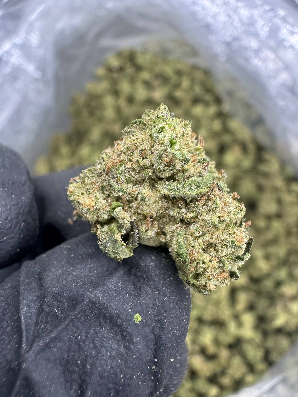 Mochi - THCA BULK Flower - Greenhouse Smalls