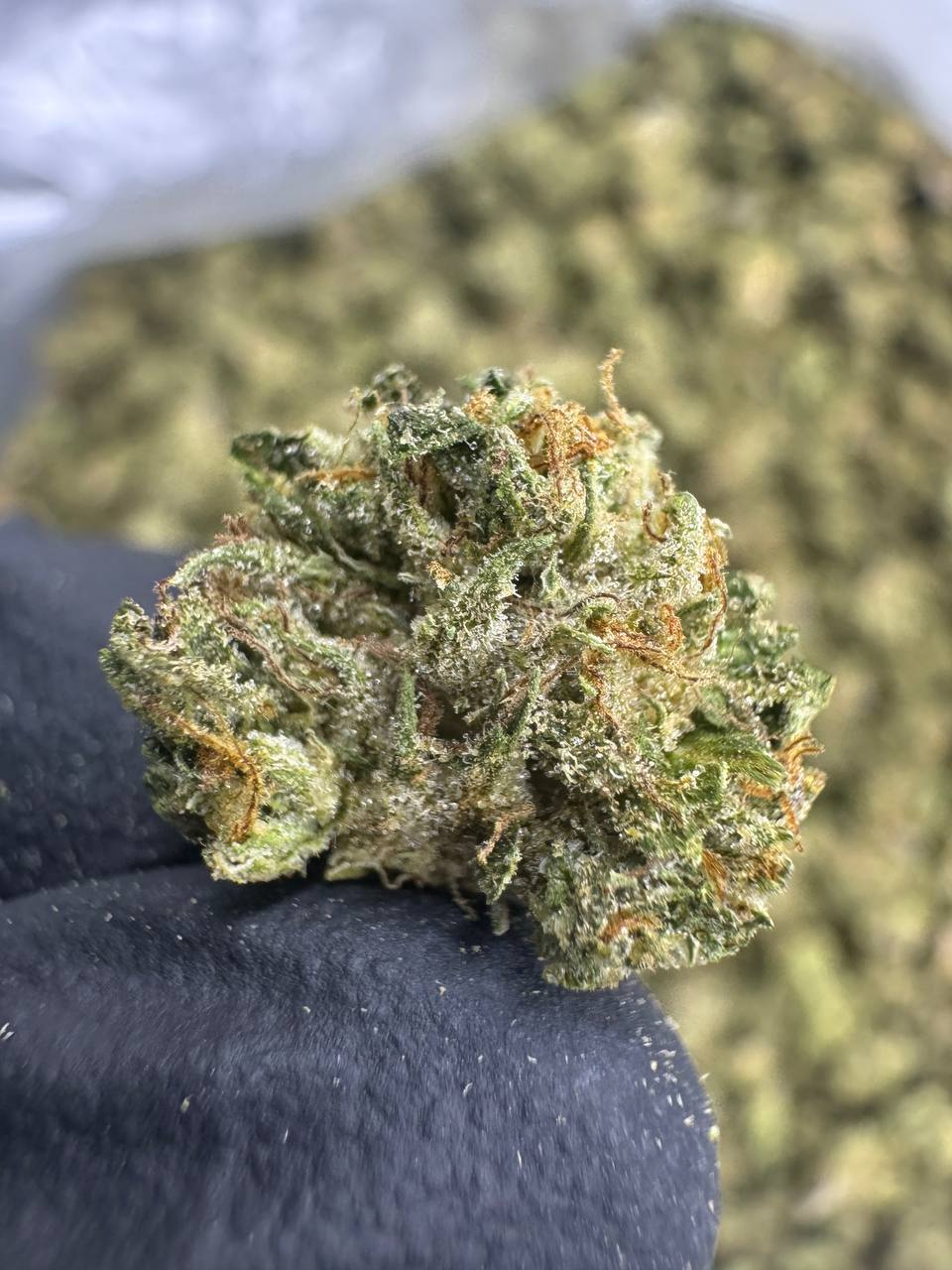 Motor Breath - THCA Flower - Sungrown Gold Nuggets