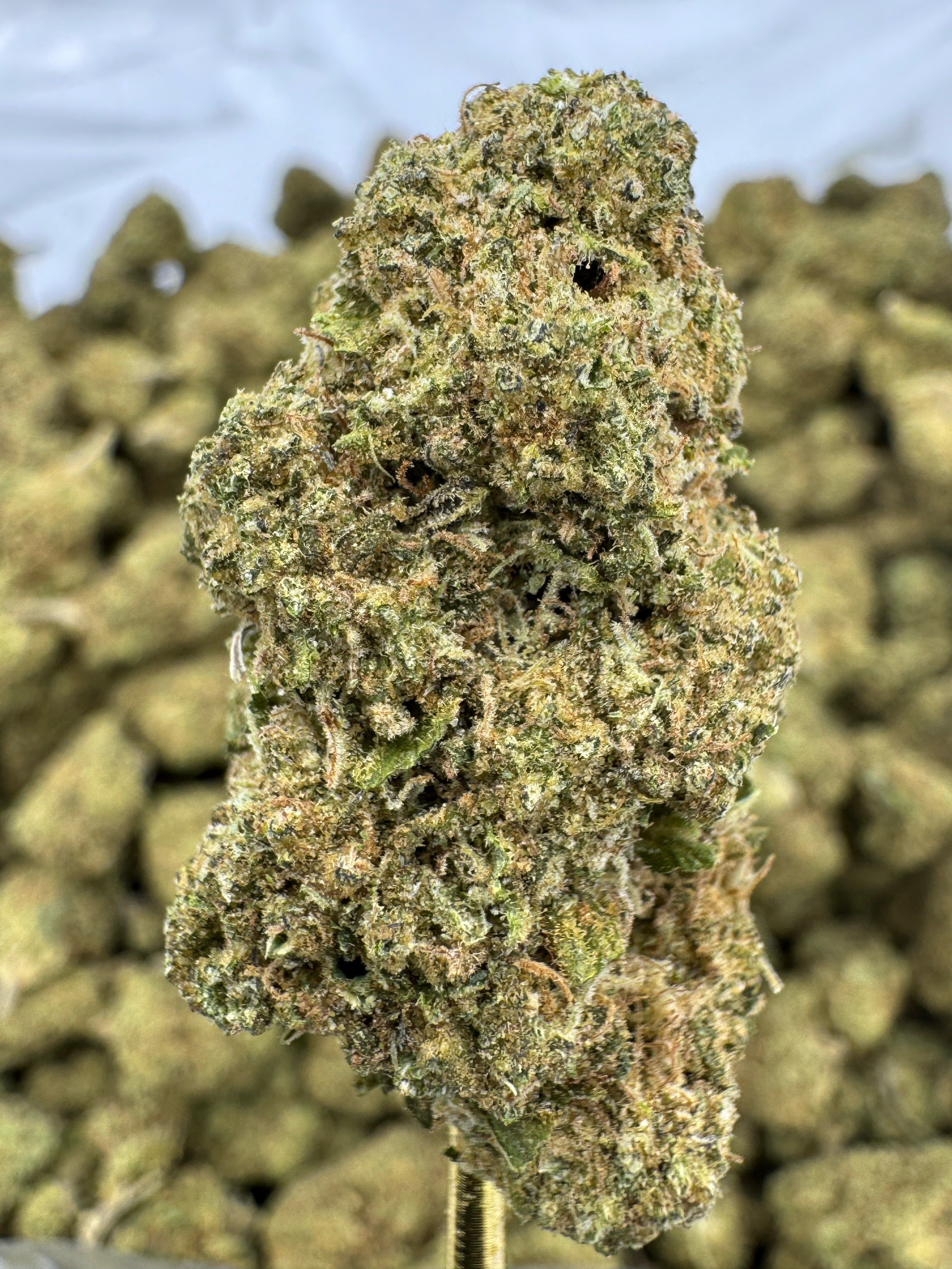 Mule Fuel - THCA Flower - Greenhouse Top Cut