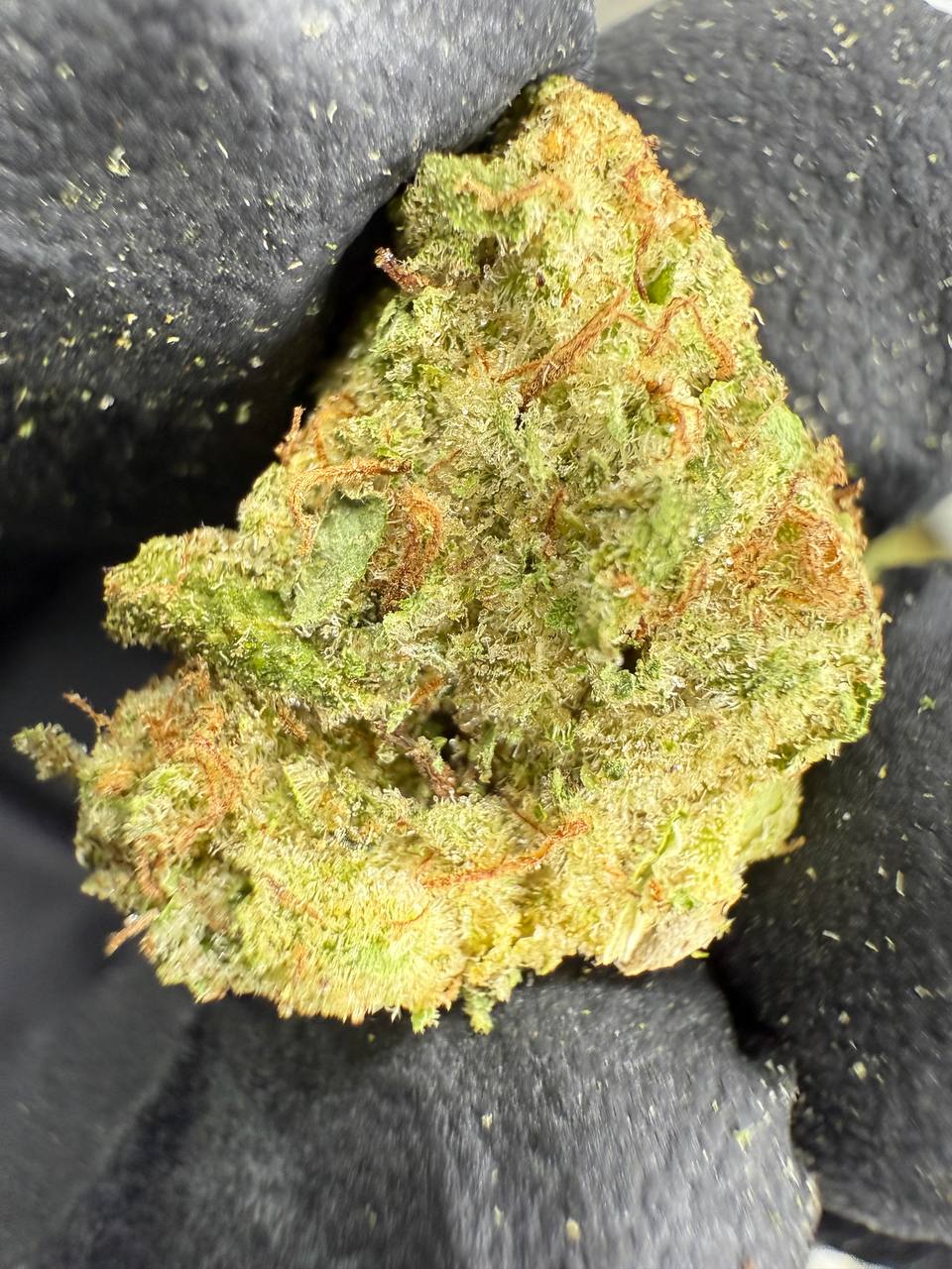 Mule Fuel - THCA BULK FLOWER - TOP SHELF SMALLS