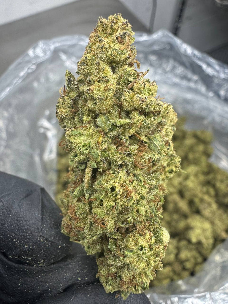 Mule Fuel - THCA BULK FLOWER - TOP SHELF