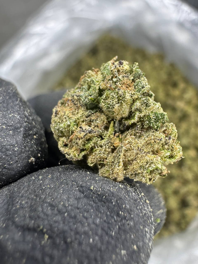 Mule Fuel - THCA BULK FLOWER - TOP SHELF SMALLS