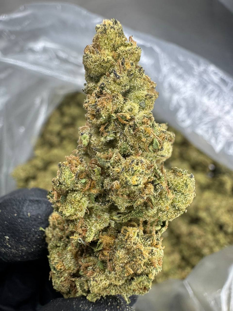 Mule Fuel - THCA BULK FLOWER - TOP SHELF