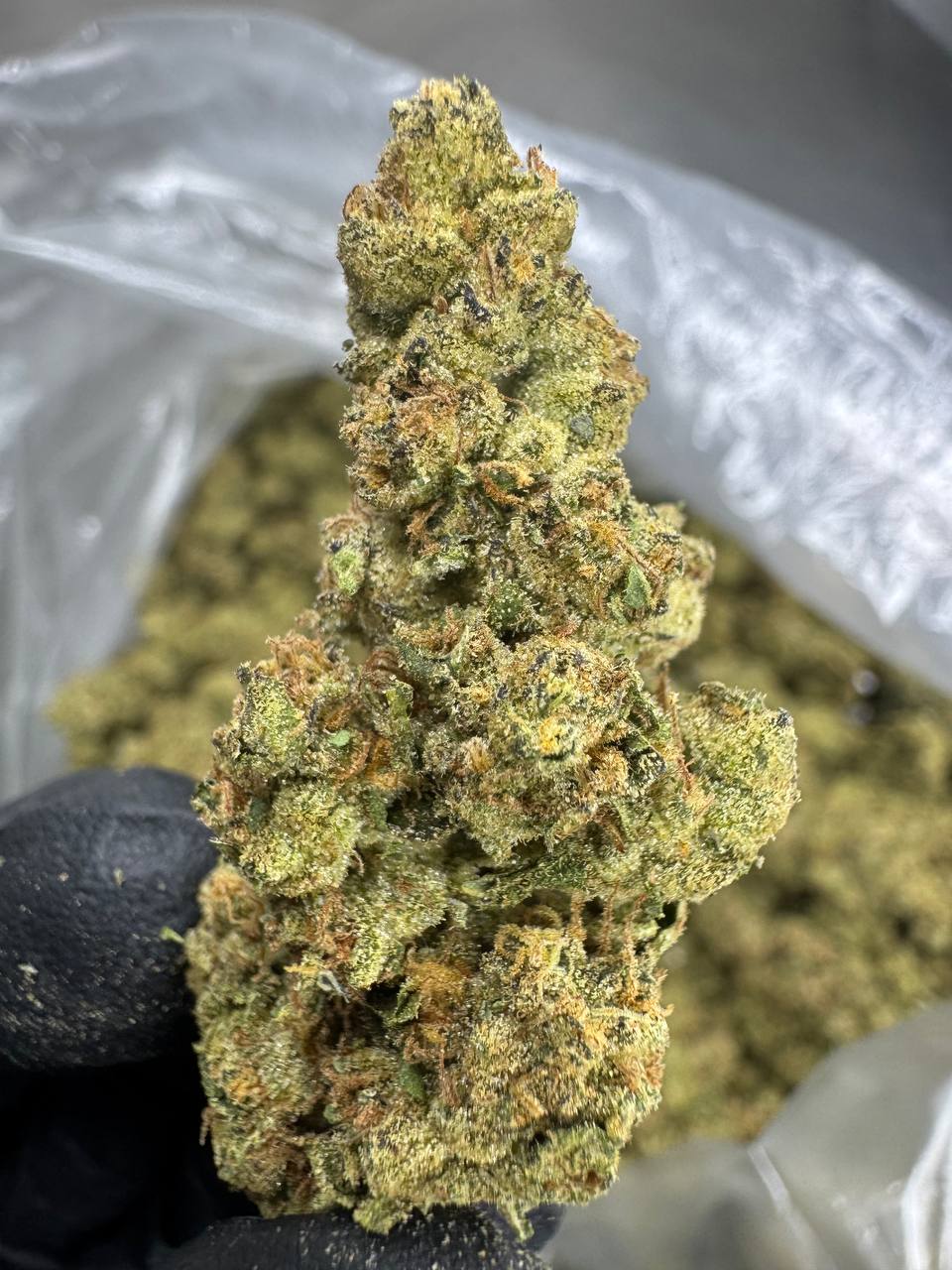 Mule Fuel - THCA BULK FLOWER - TOP SHELF