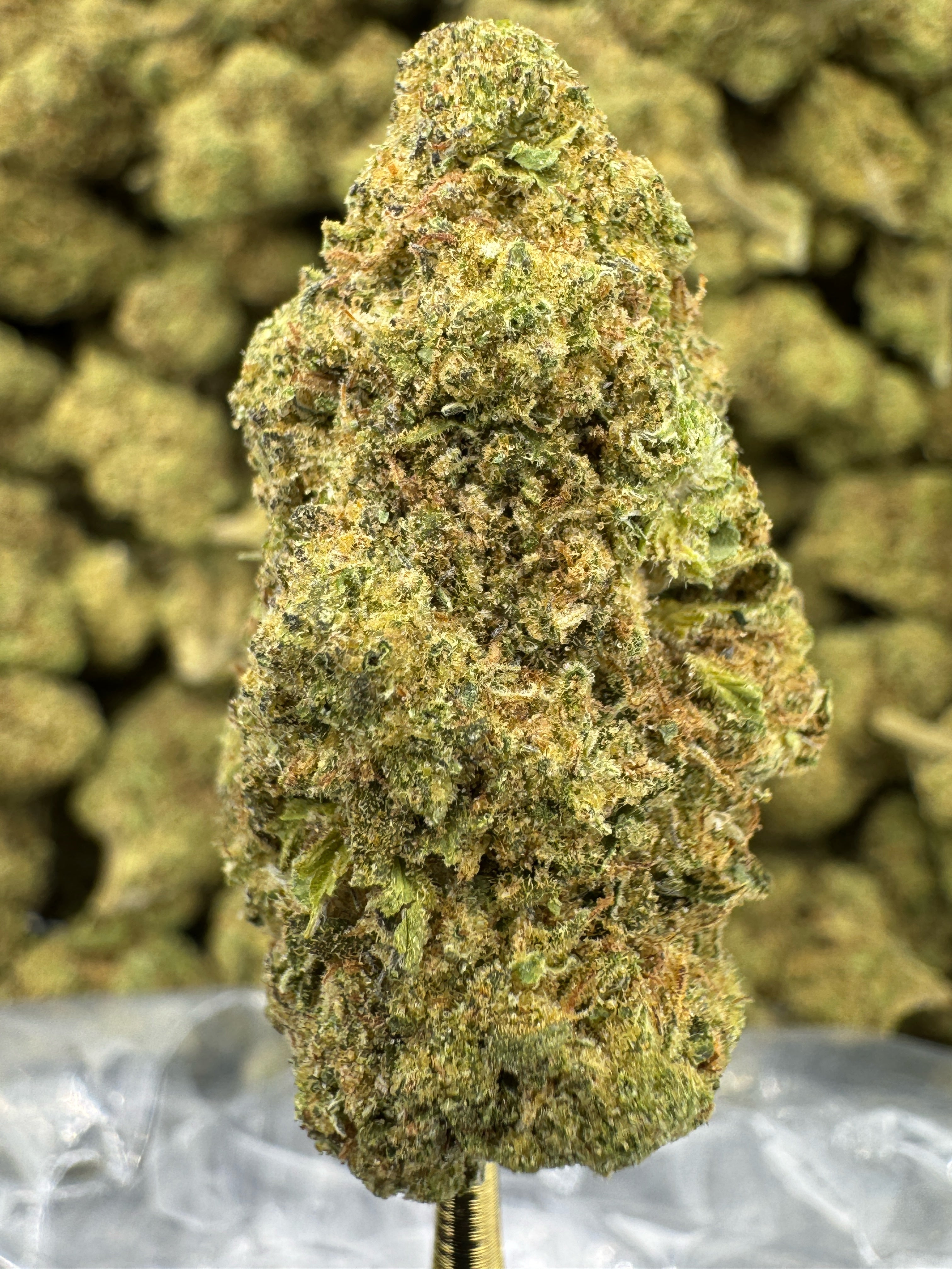 Mule Fuel - THCA BULK Flower - Greenhouse