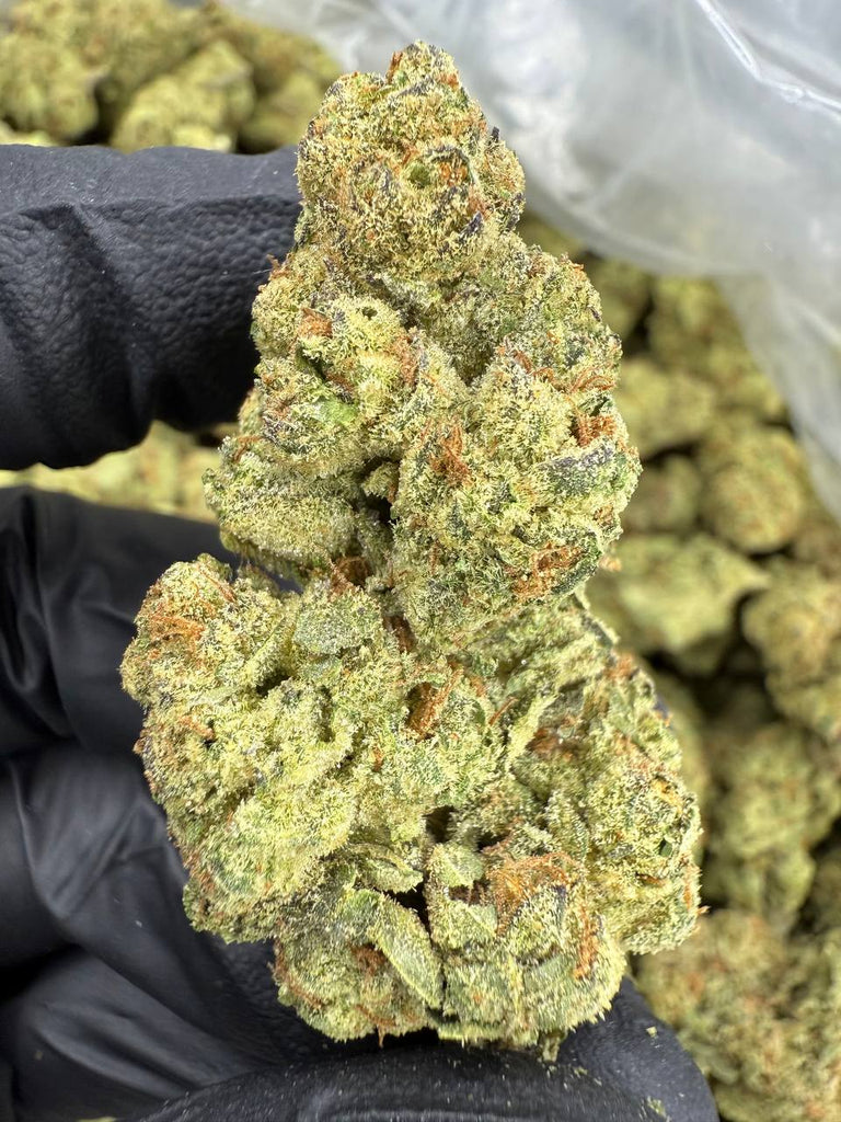 Mule Fuel - THCA FLOWER - TOP SHELF