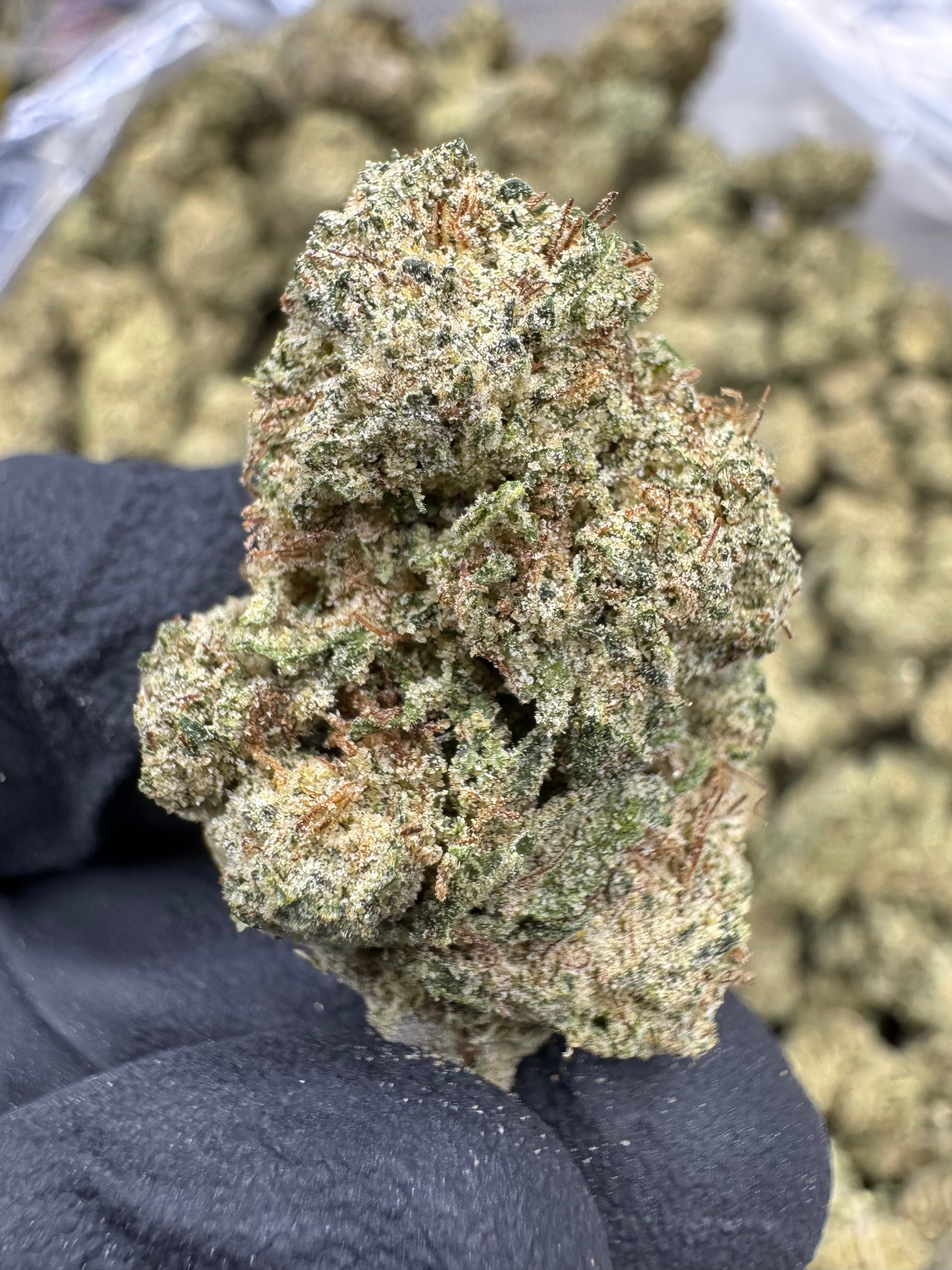 OG - THCP BULK Flower - Sungrown