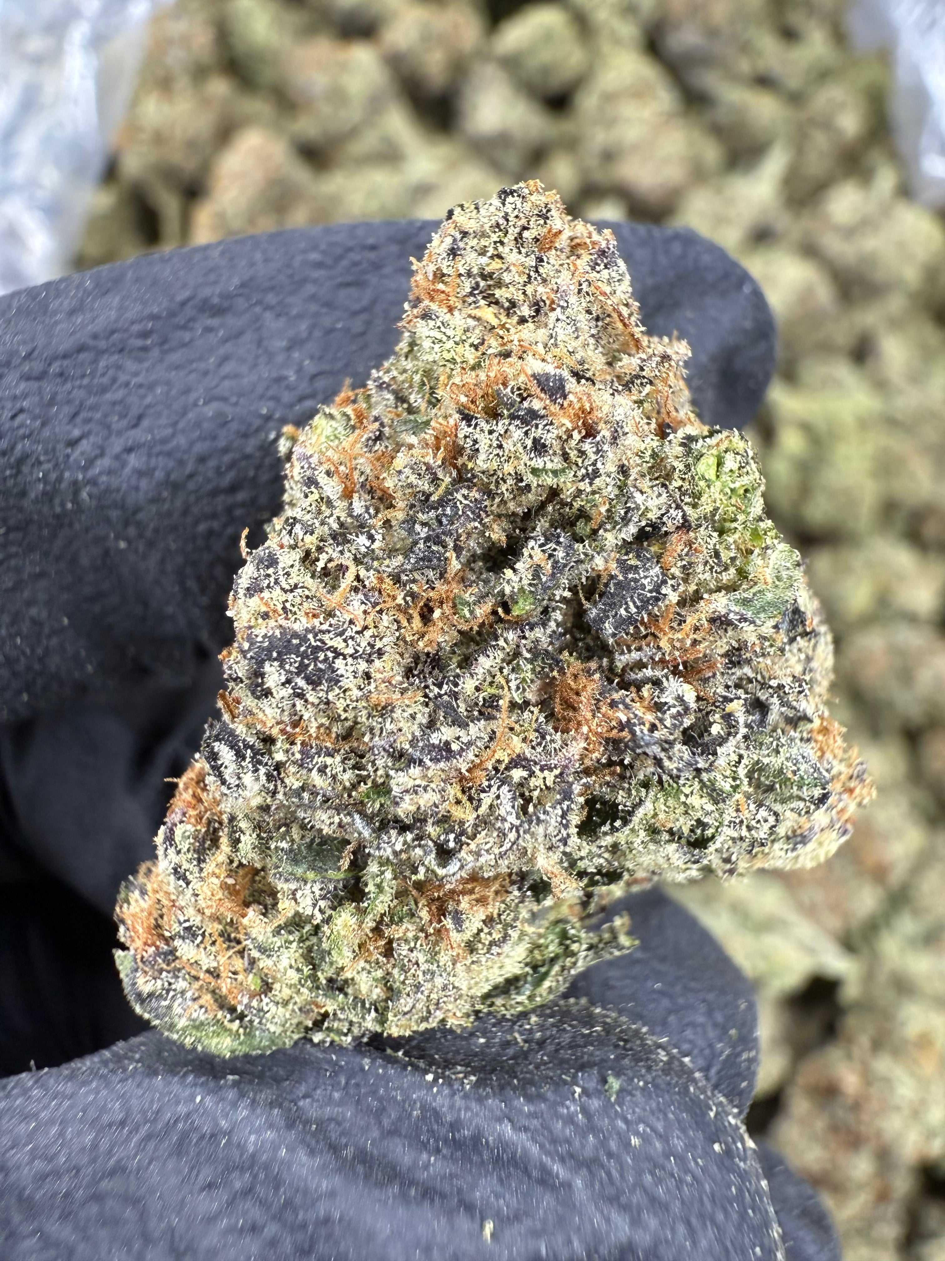 Obama - THCA BULK Flower - Indoor Exotic