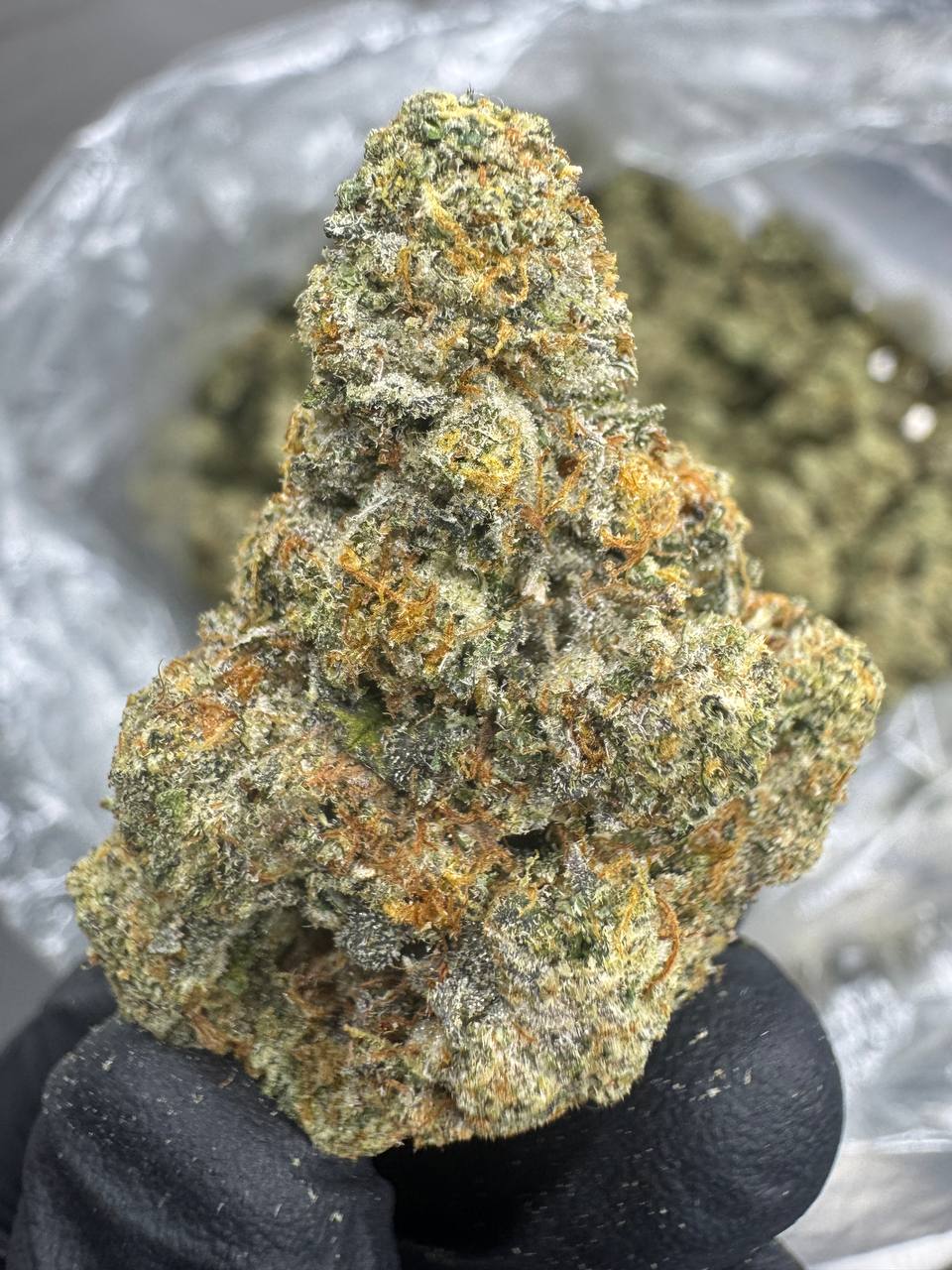 Ooh La La - THCA BULK FLOWER - EXOTIC INDOOR