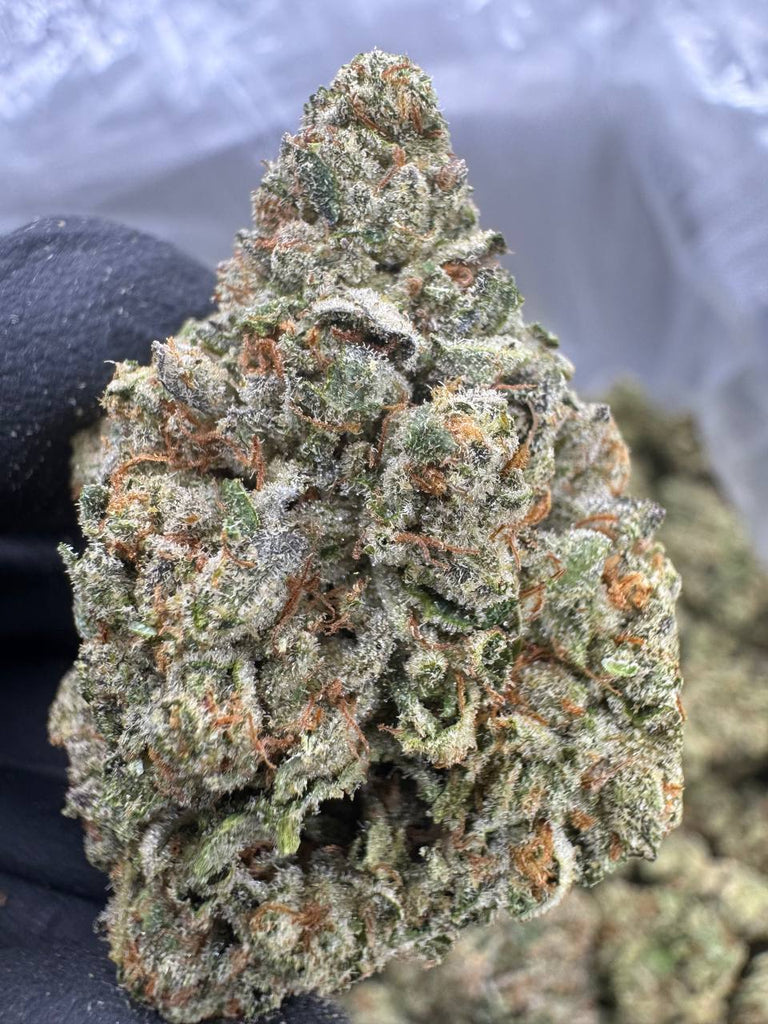 Oo La La - THCA BULK FLOWER - EXOTIC INDOOR