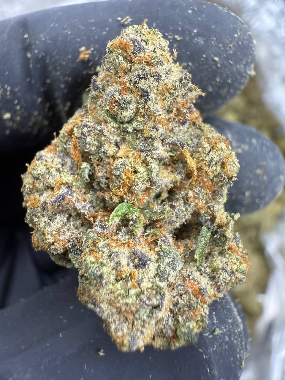 Ooh La La - THCA BULK Flower - Indoor