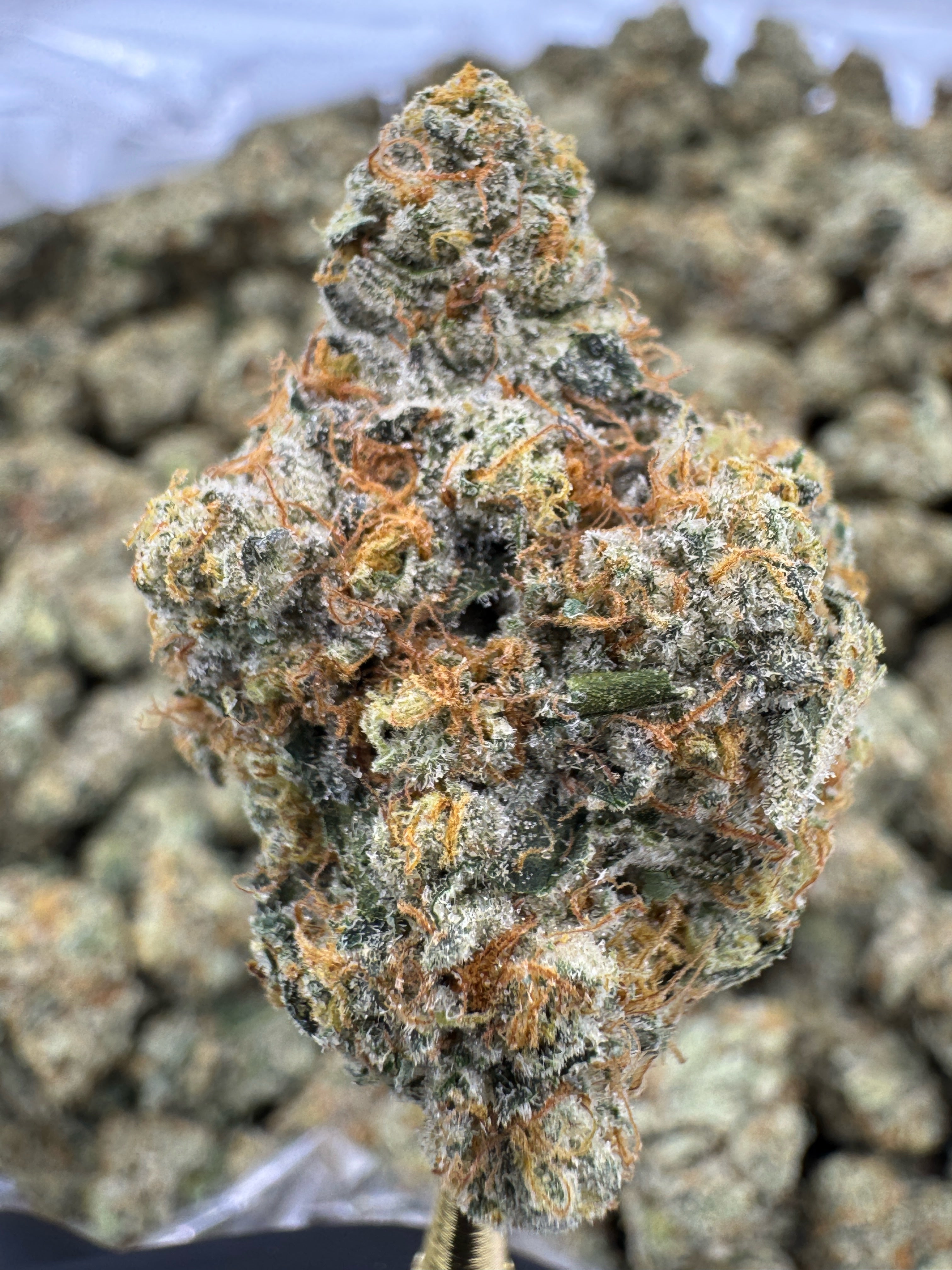 Ooh La La - THCA BULK Flower - Indoor Exotic
