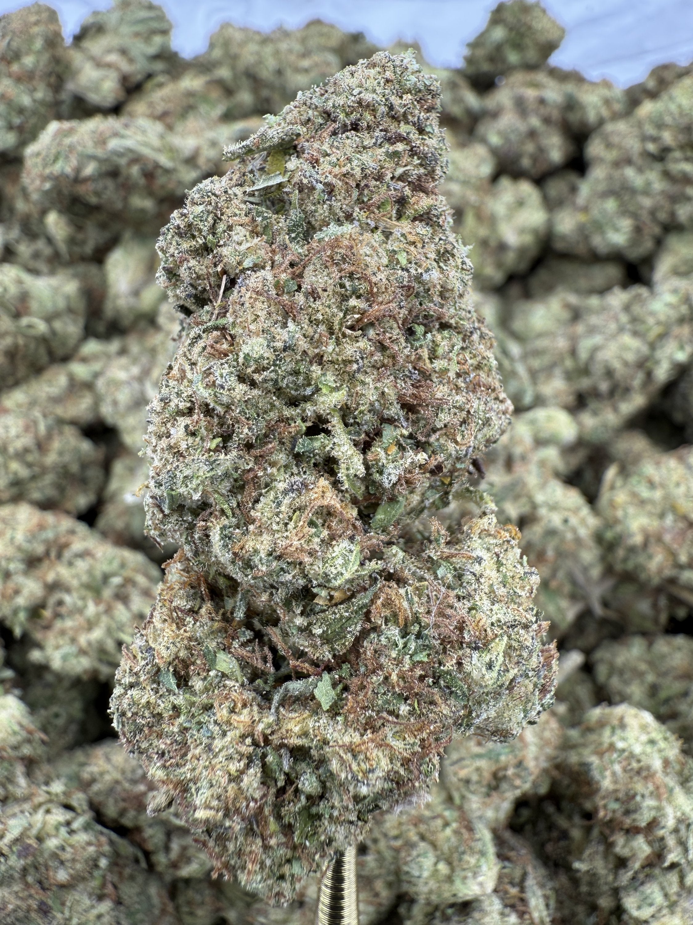 Pack Mule - THCA BULK Flower - Greenhouse