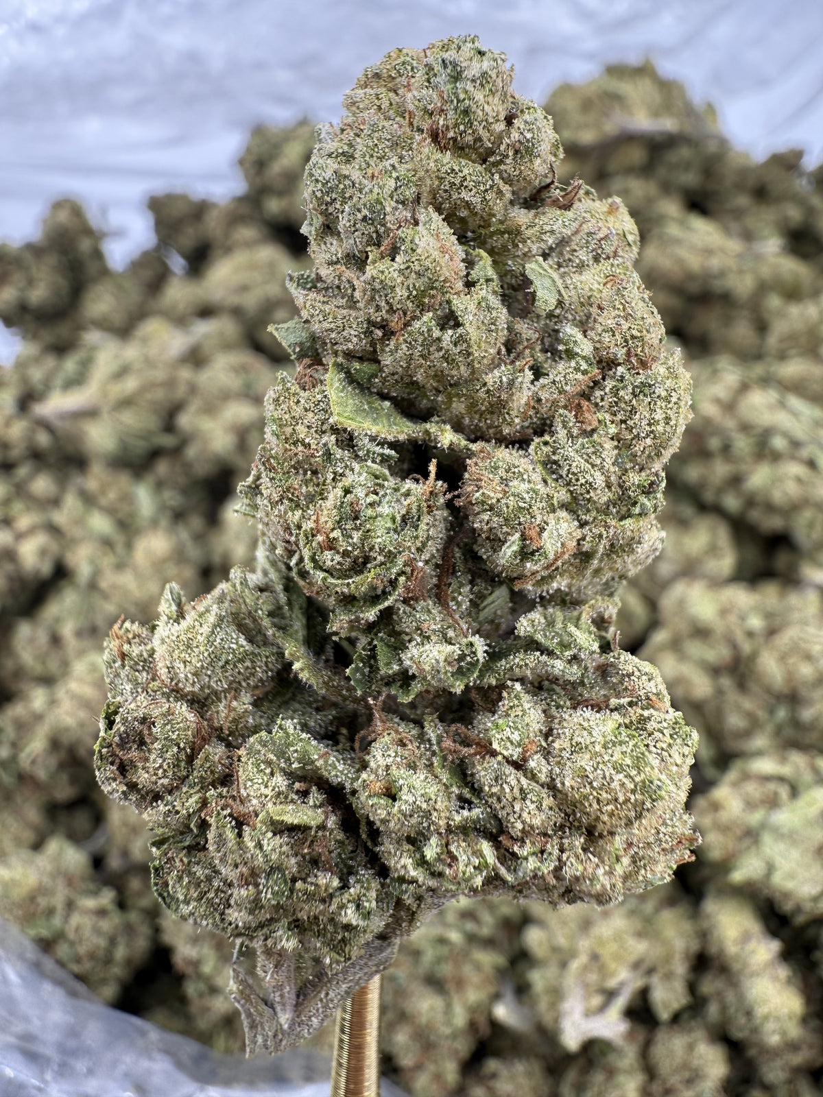 Peach Runtz - THCA BULK Flower - Greenhouse