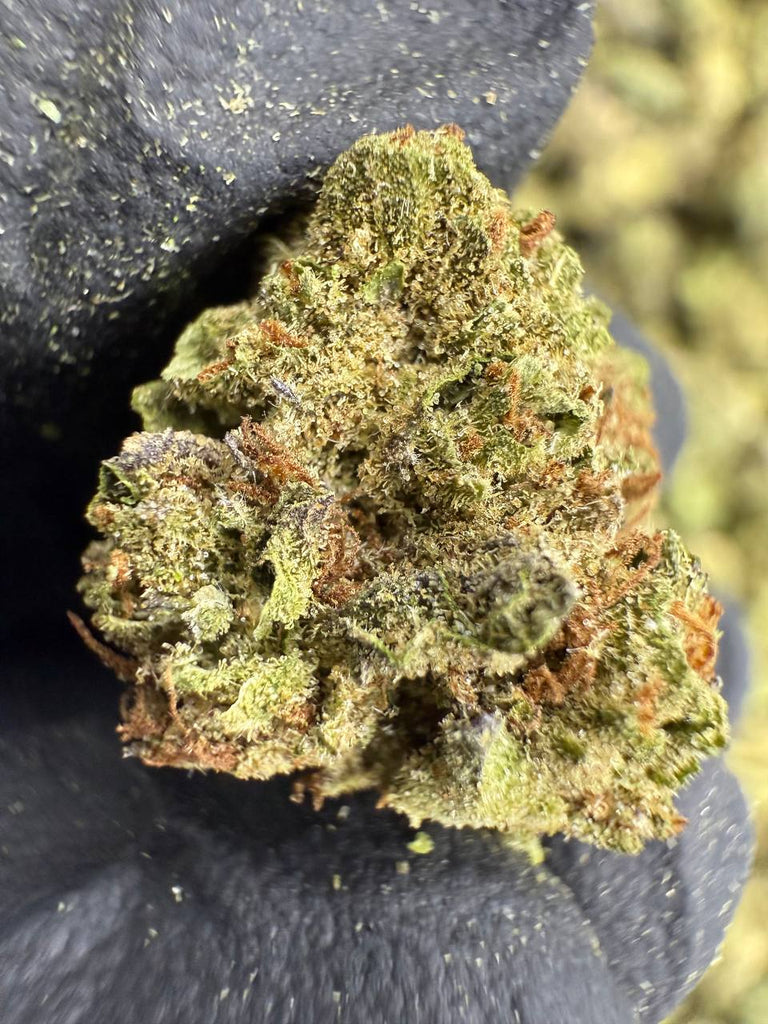 Permanent Marker - Gold Nuggets - THCa Flower TOP SHELF SMALLS