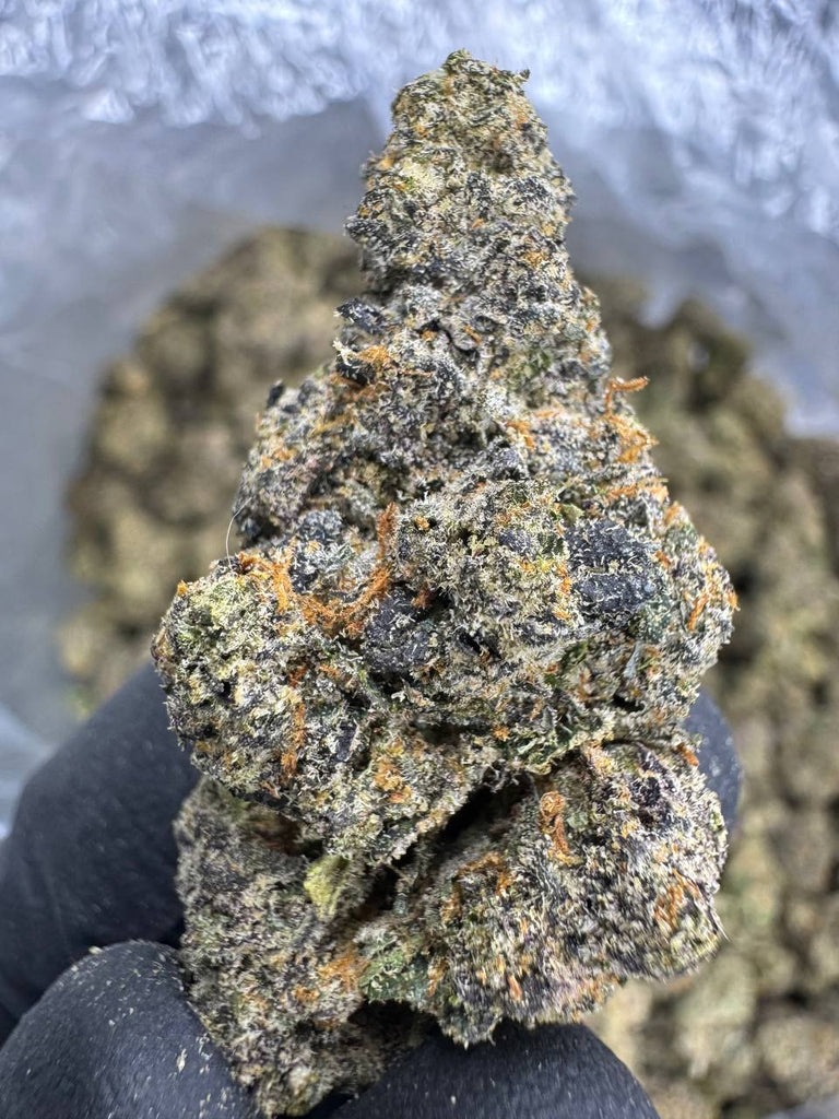 Permanent Marker - THCA BULK FLOWER - EXOTIC INDOOR