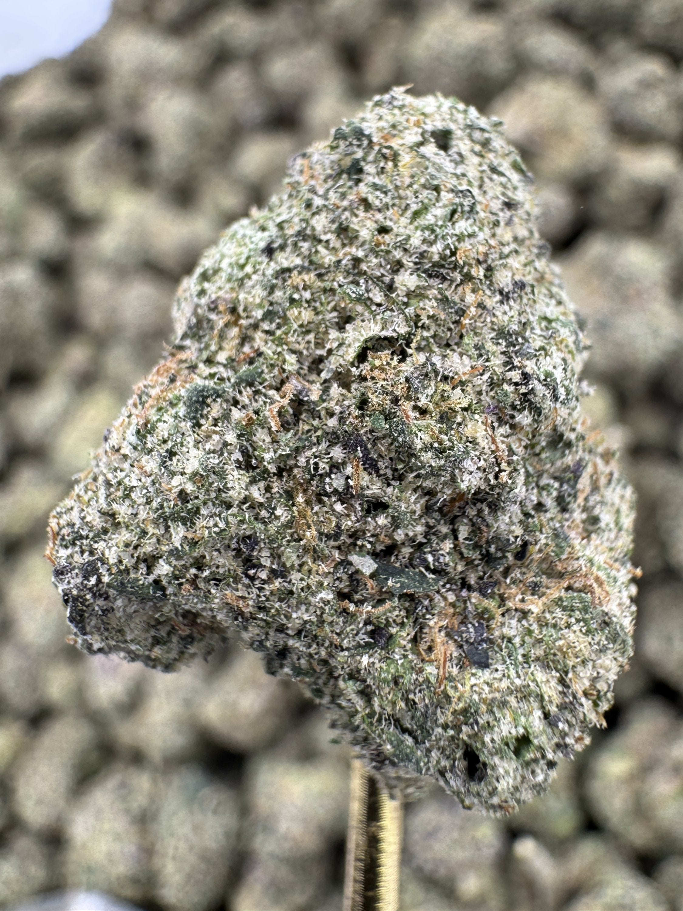 Pez - THCA BULK Flower - Indoor Exotic