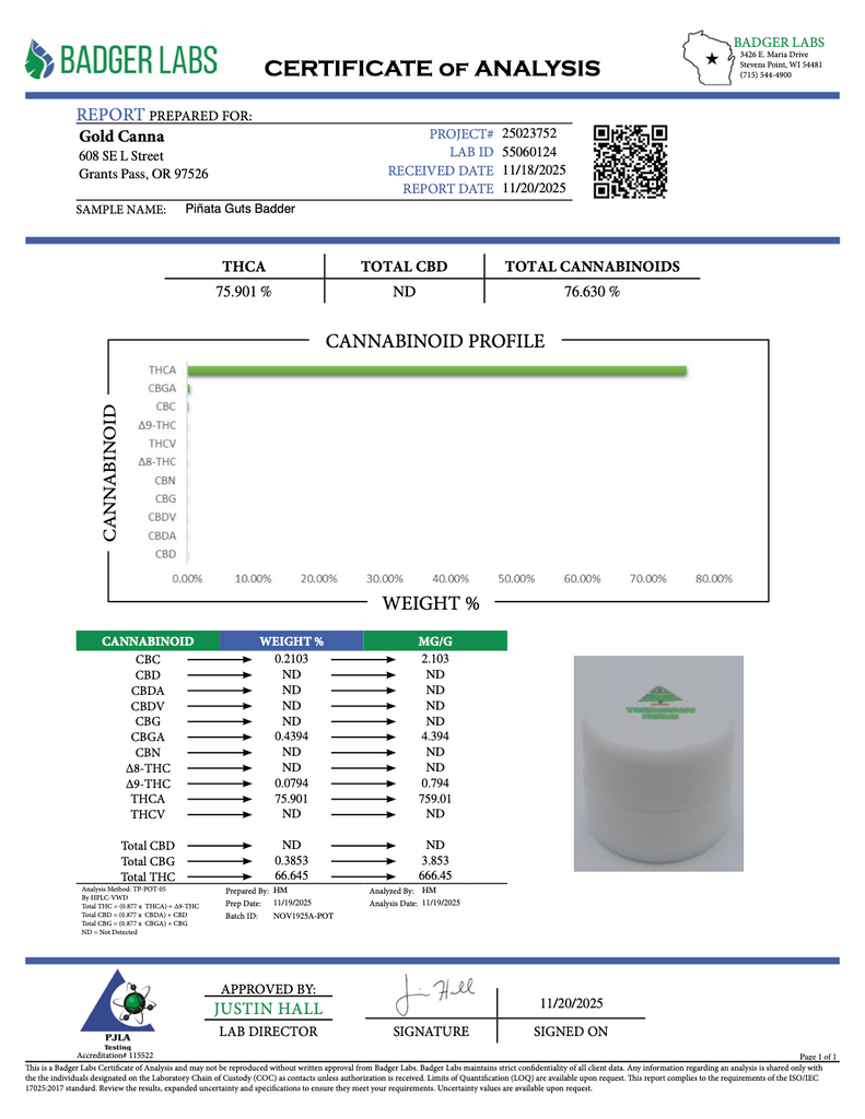 Pinata Guts Badder - THCA Concentrate