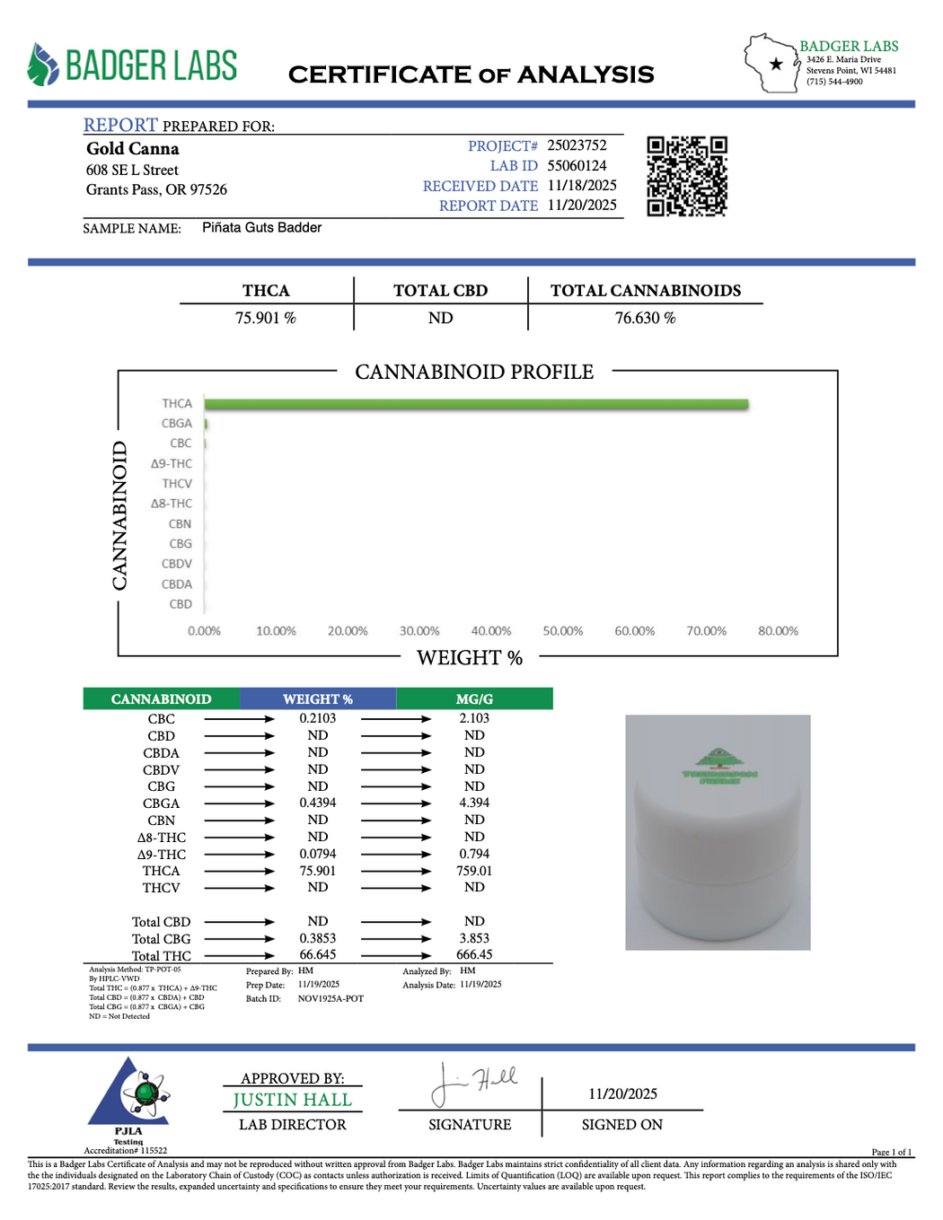 Pinata Guts Badder - THCA Concentrate