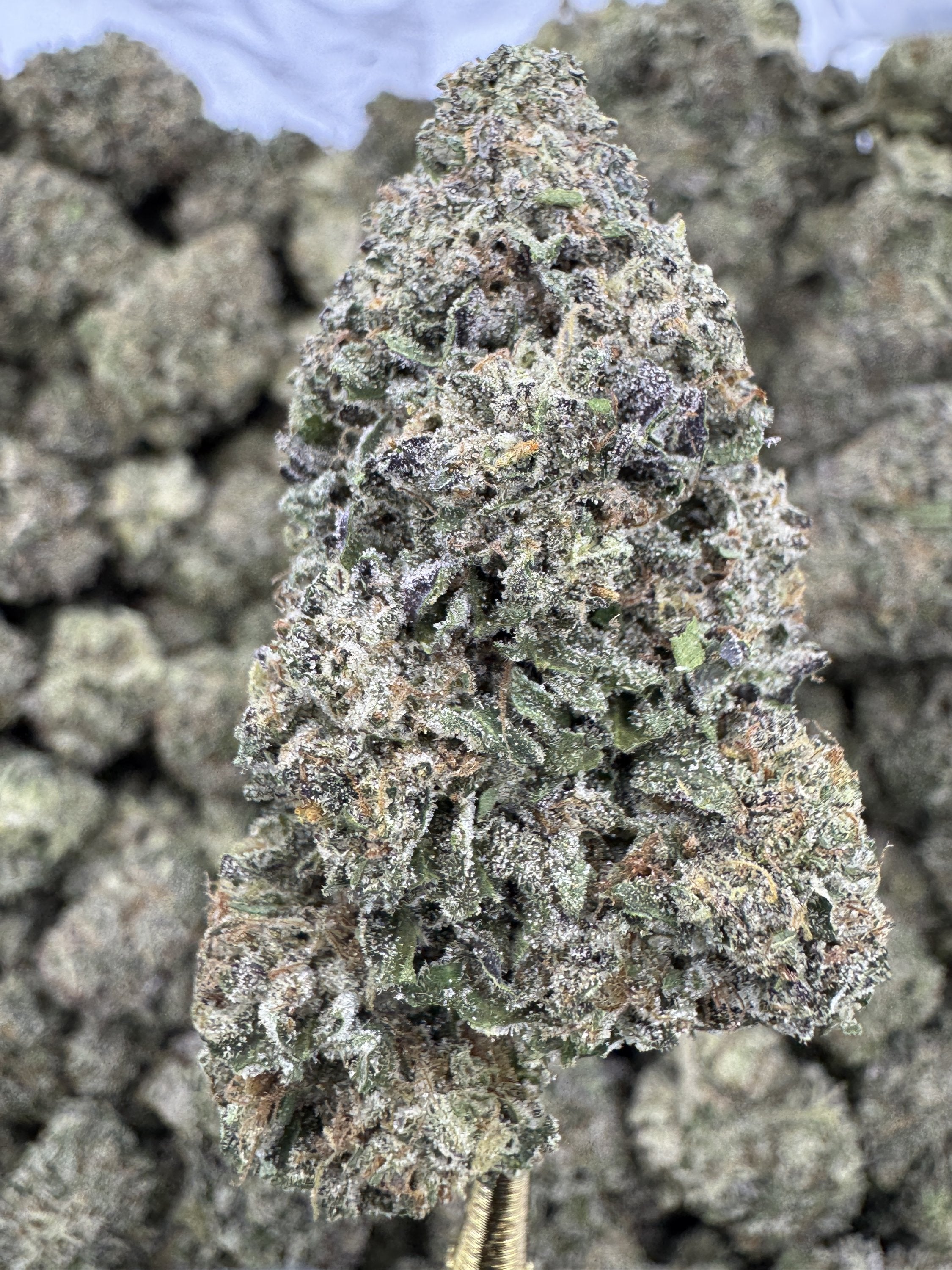 Pineapple Express - THCA BULK Flower - Greenhouse