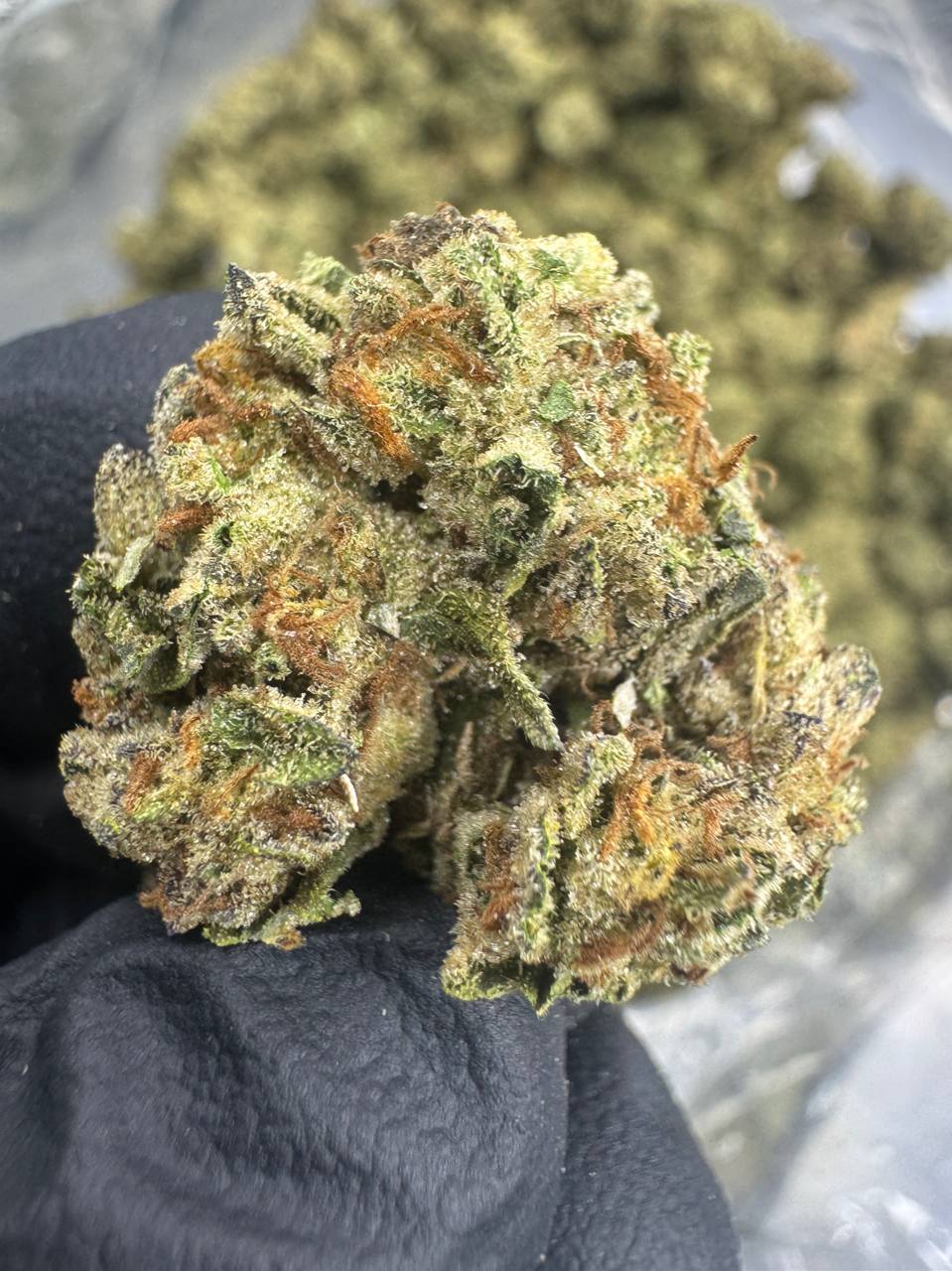 Pineapple Express - THCA BULK FLOWER - CLASSIC RESERVE