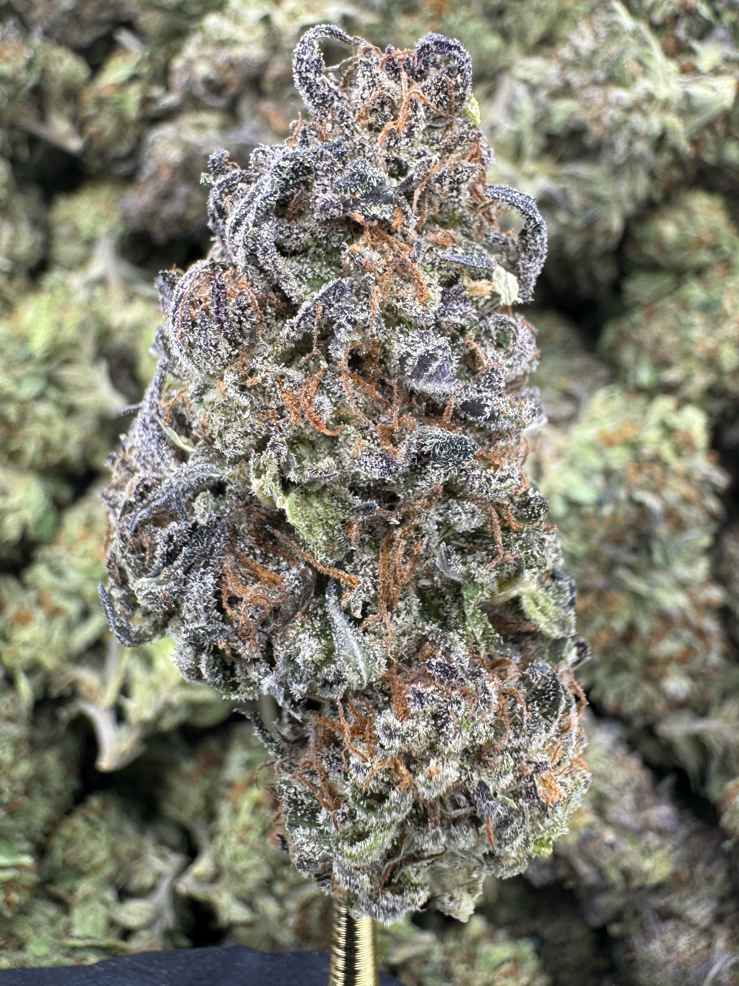 Pineapple Express - THCA Flower - Sungrown Top Cut