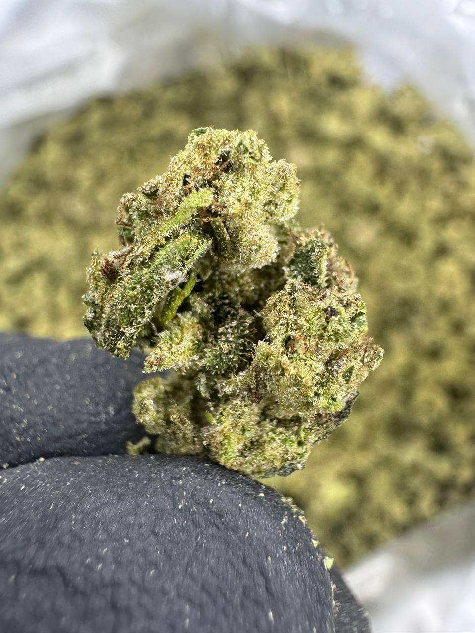 Pineapple Express - THCA BULK Flower - Greenhouse Smalls