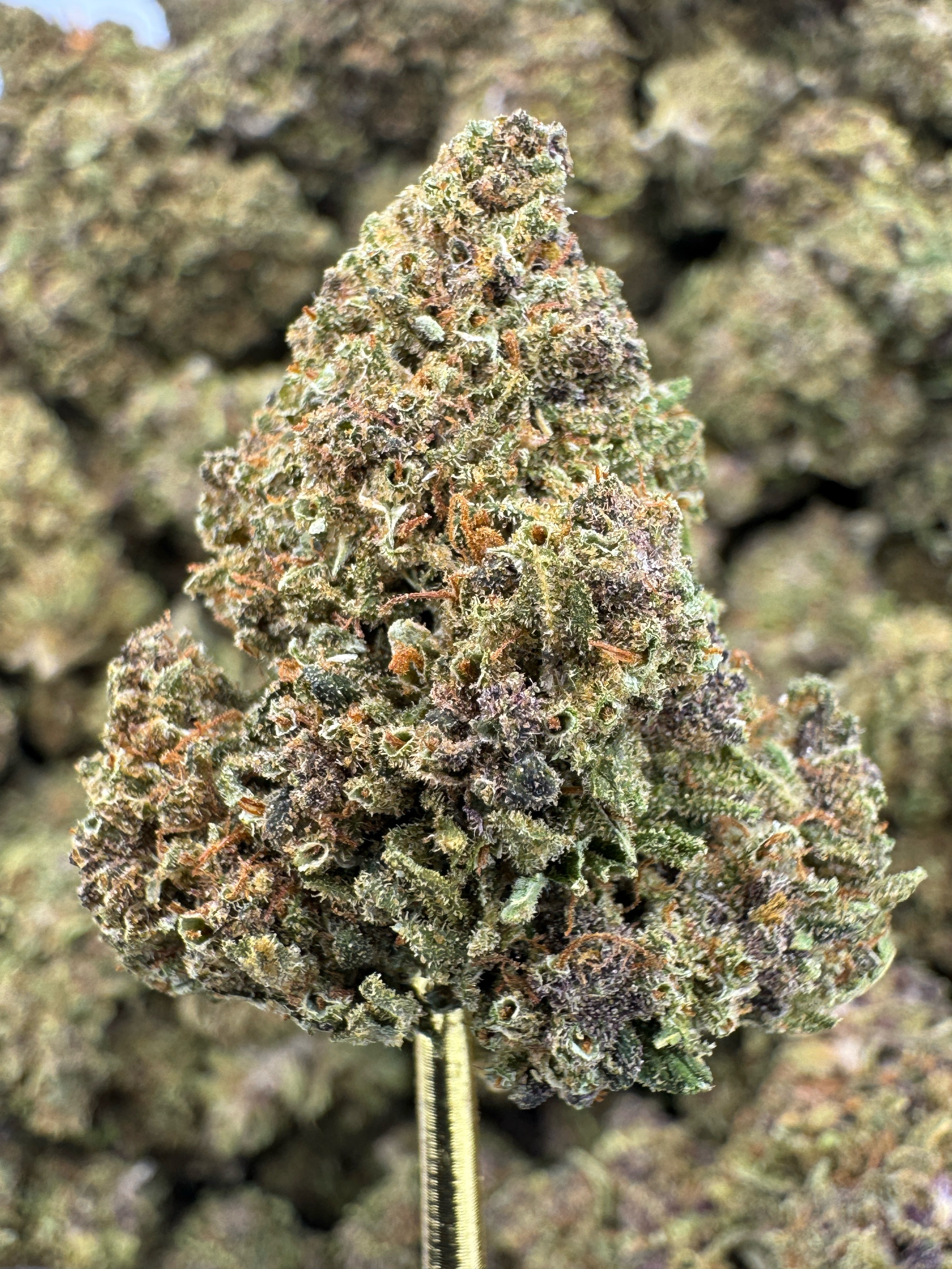Pink Pineapple - CBD Flower - Sungrown Top Cut
