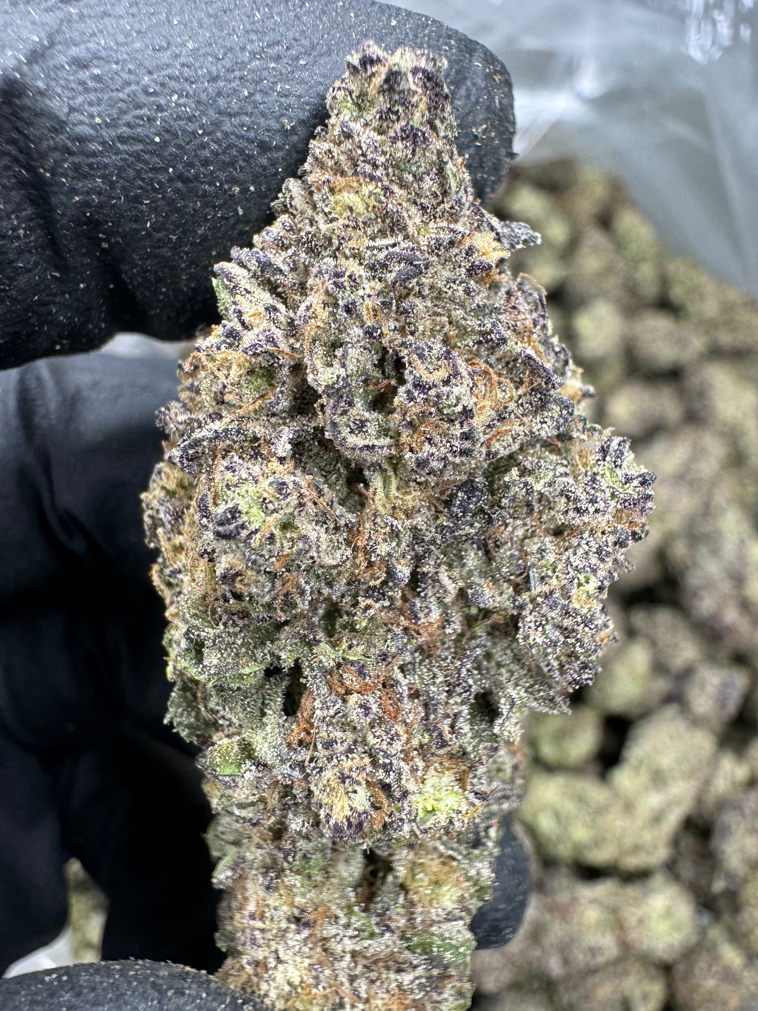 Purple Octane - THCA BULK Flower - Indoor Top Cut