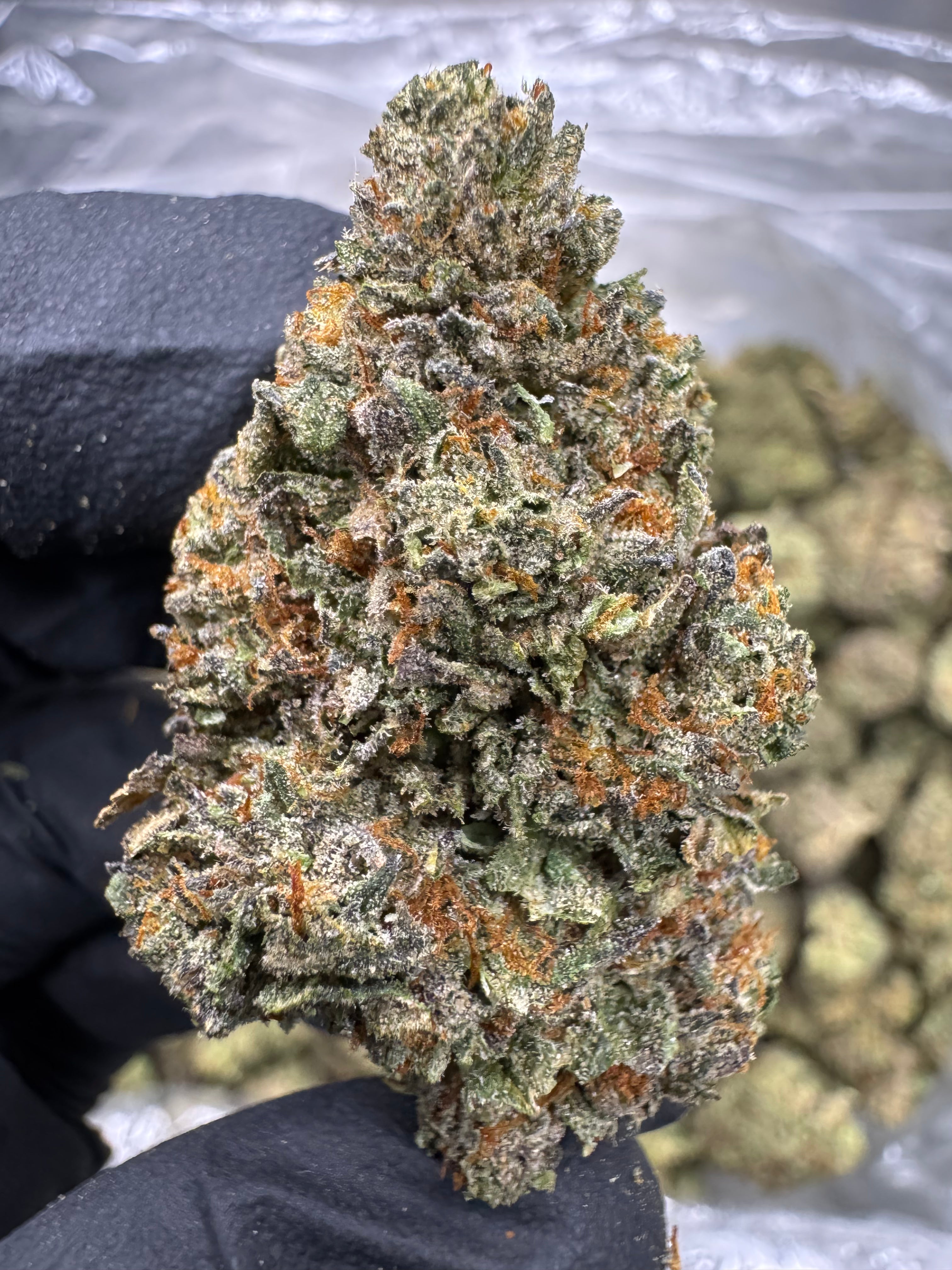 Pink Runtz - THCA BULK Flower