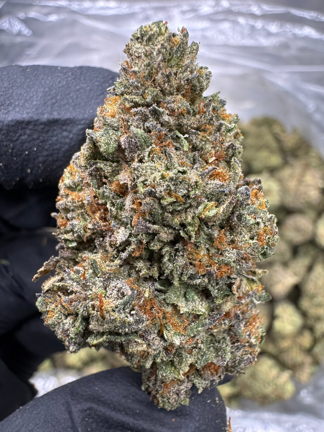 Pink Runtz - THCA BULK FLOWER - AA INDOOR