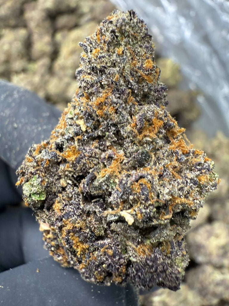 Pink Runtz - THCA BULK FLOWER - EXOTIC INDOOR