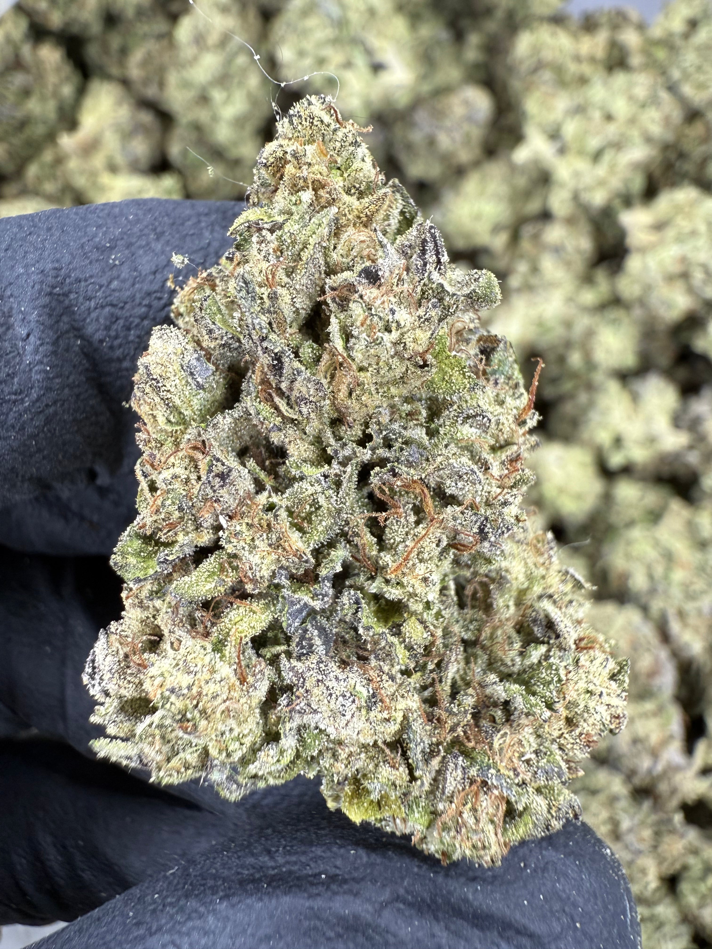 Pink Certz - THCA Flower - Indoor Top Cut