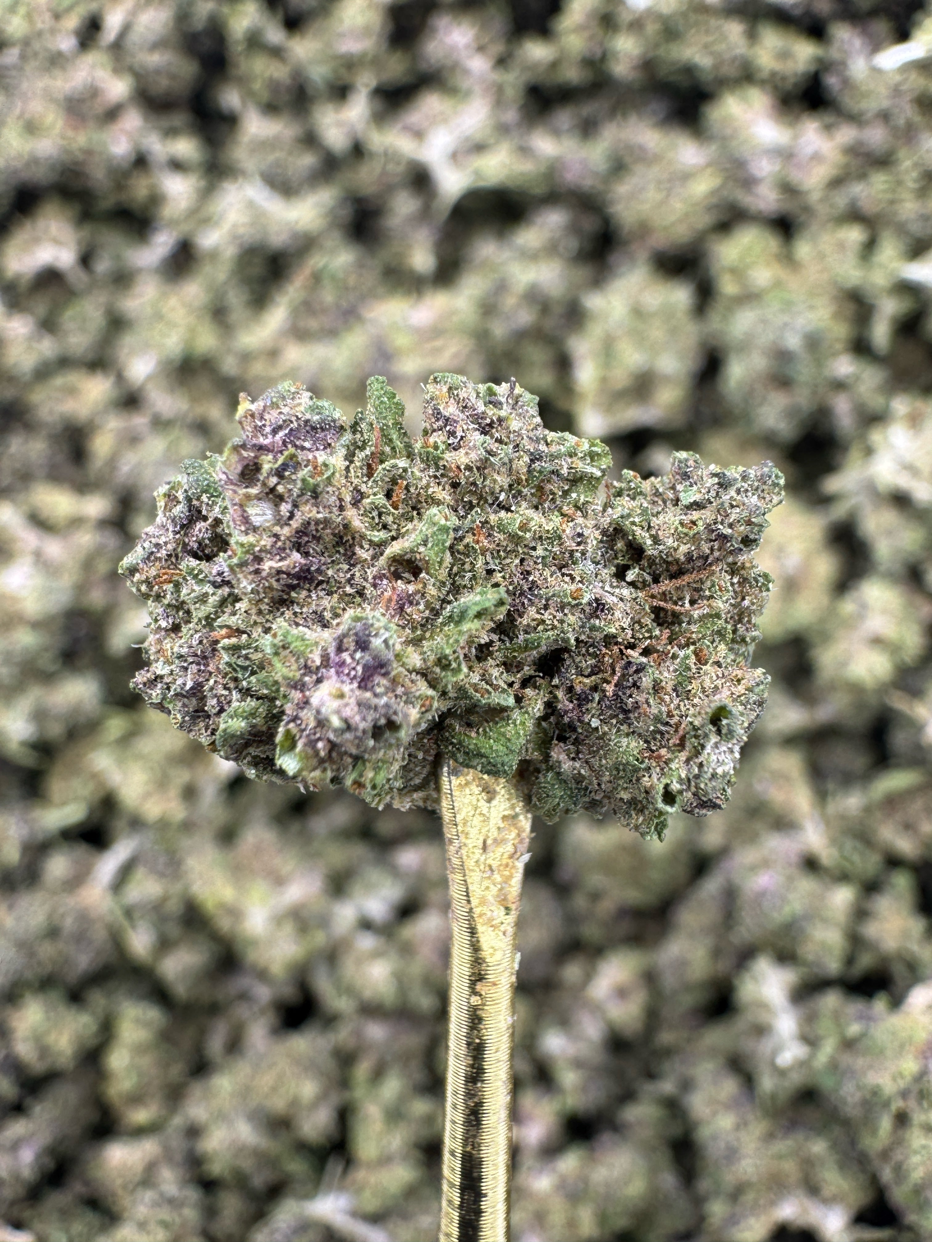 Pink Pineapple - CBD BULK Flower - Sungrown Smalls