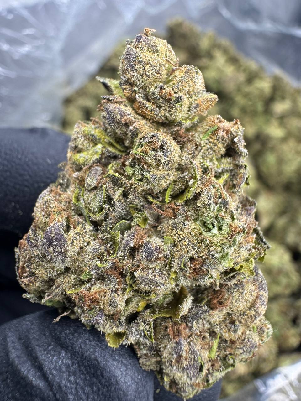 Pink Runtz - THCA BULK Flower - Sungrown