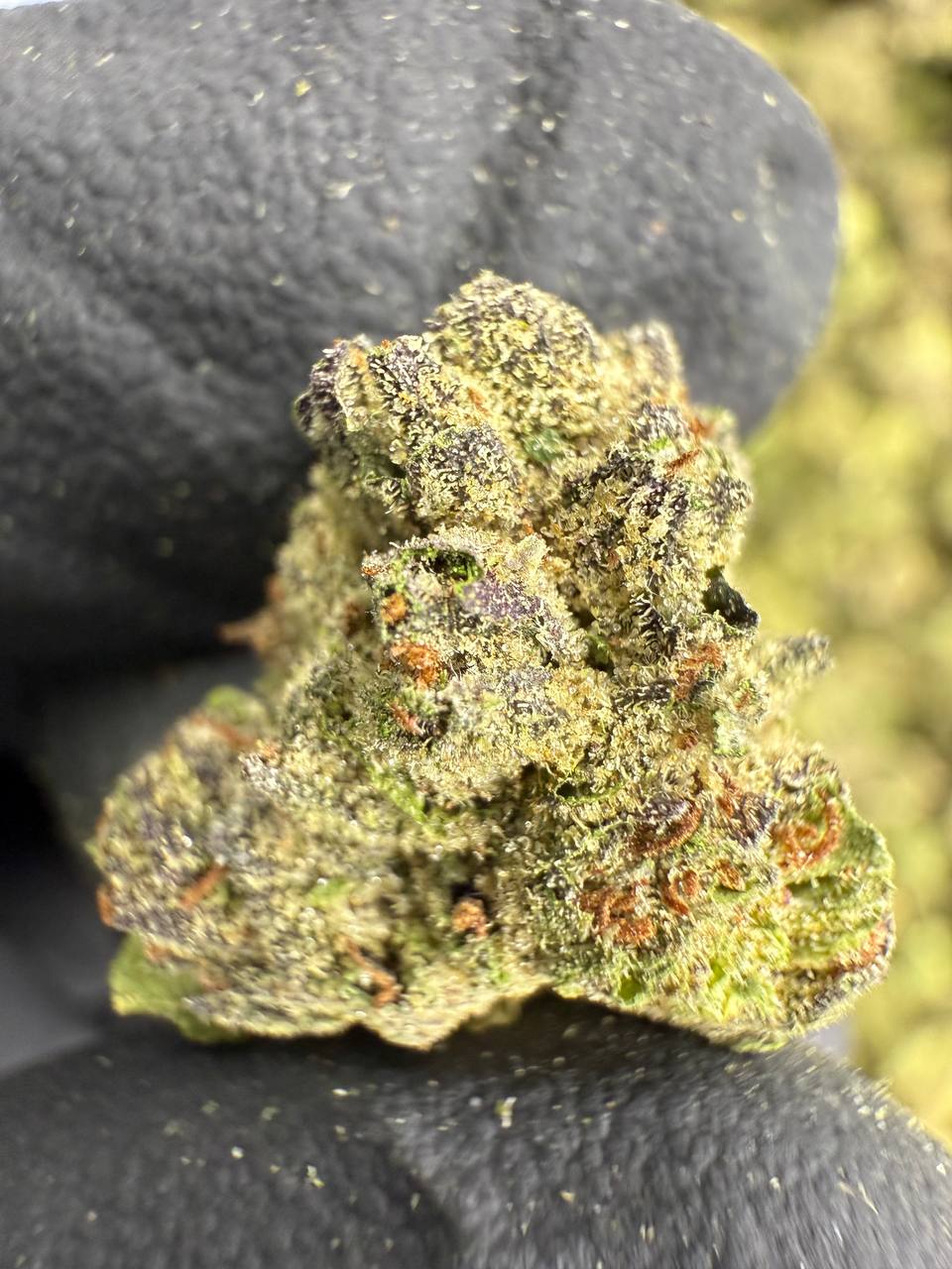 Pink Runtz - Gold Nuggets - THCa Flower TOP SHELF SMALLS