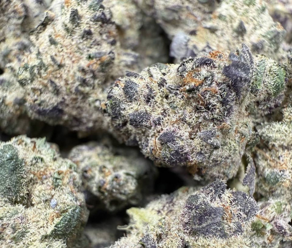 Pink Runtz THCA | Gold Canna