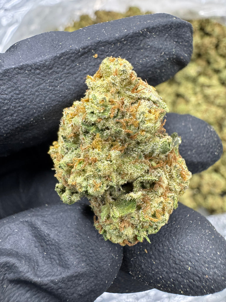 Platinum Gushers - THCA FLOWER - TOP SHELF