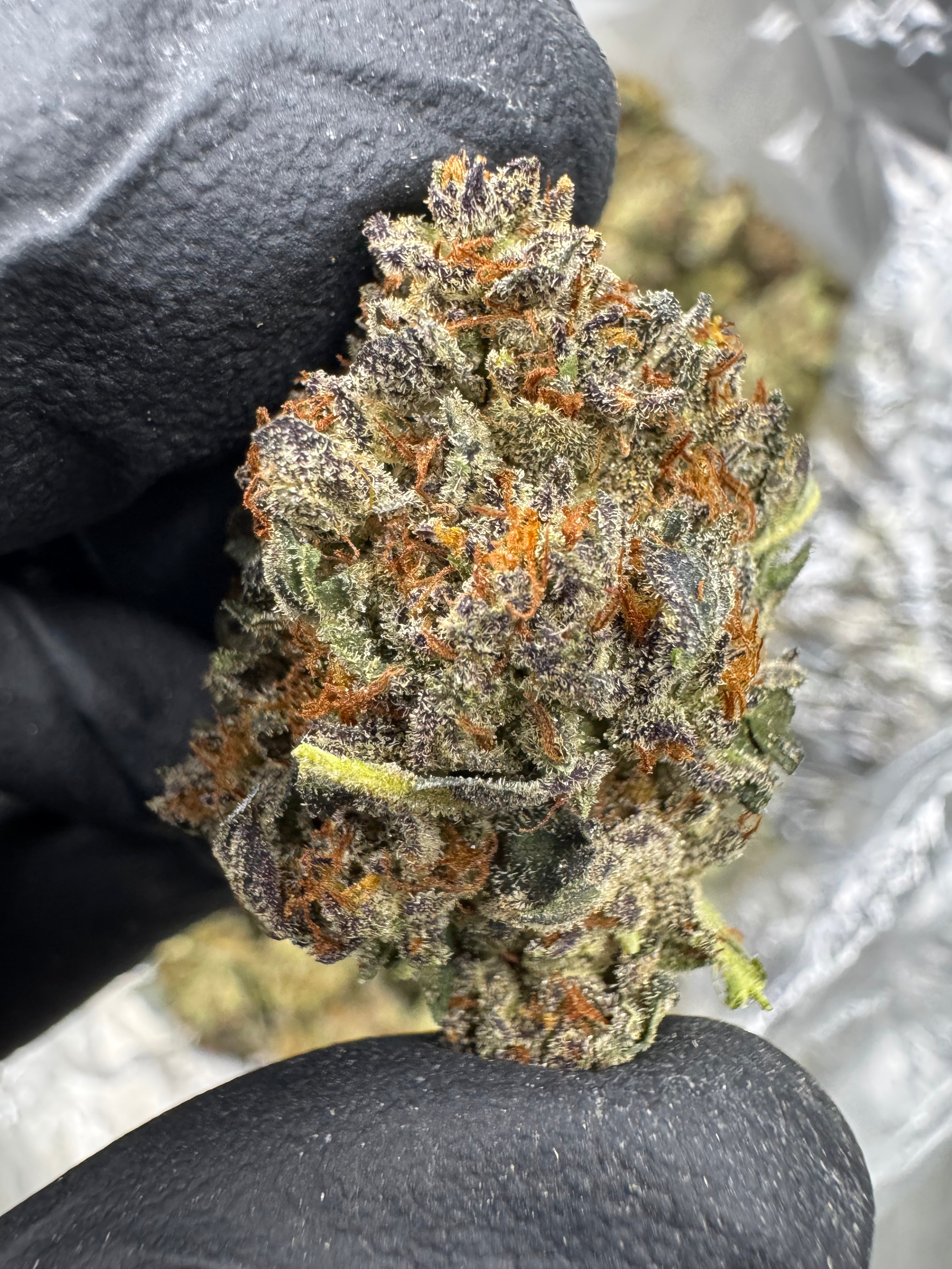 Platinum OG - THCA BULK Flower - Sungrown
