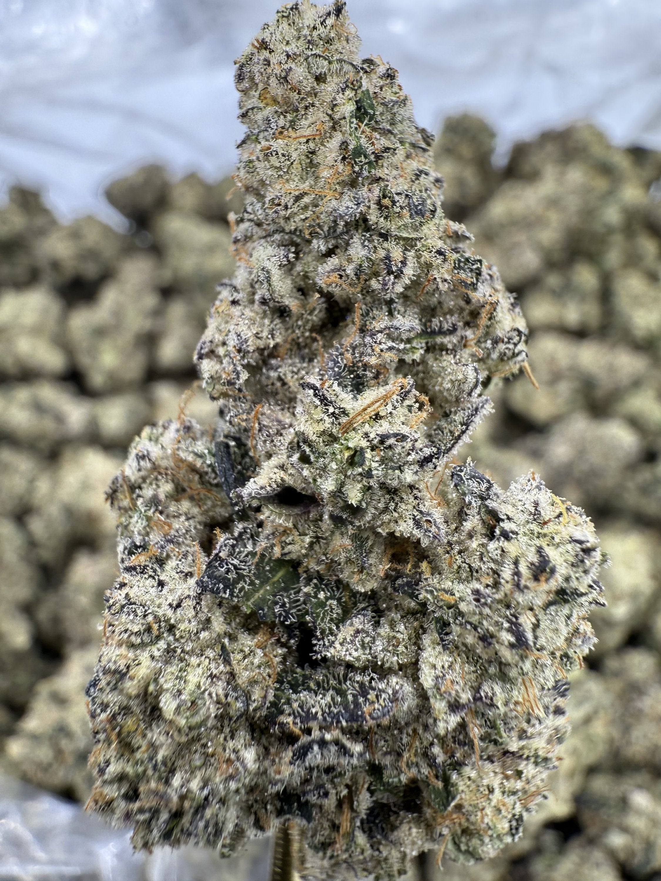Pucker Up - THCA Flower - Indoor Top Cut Exotic