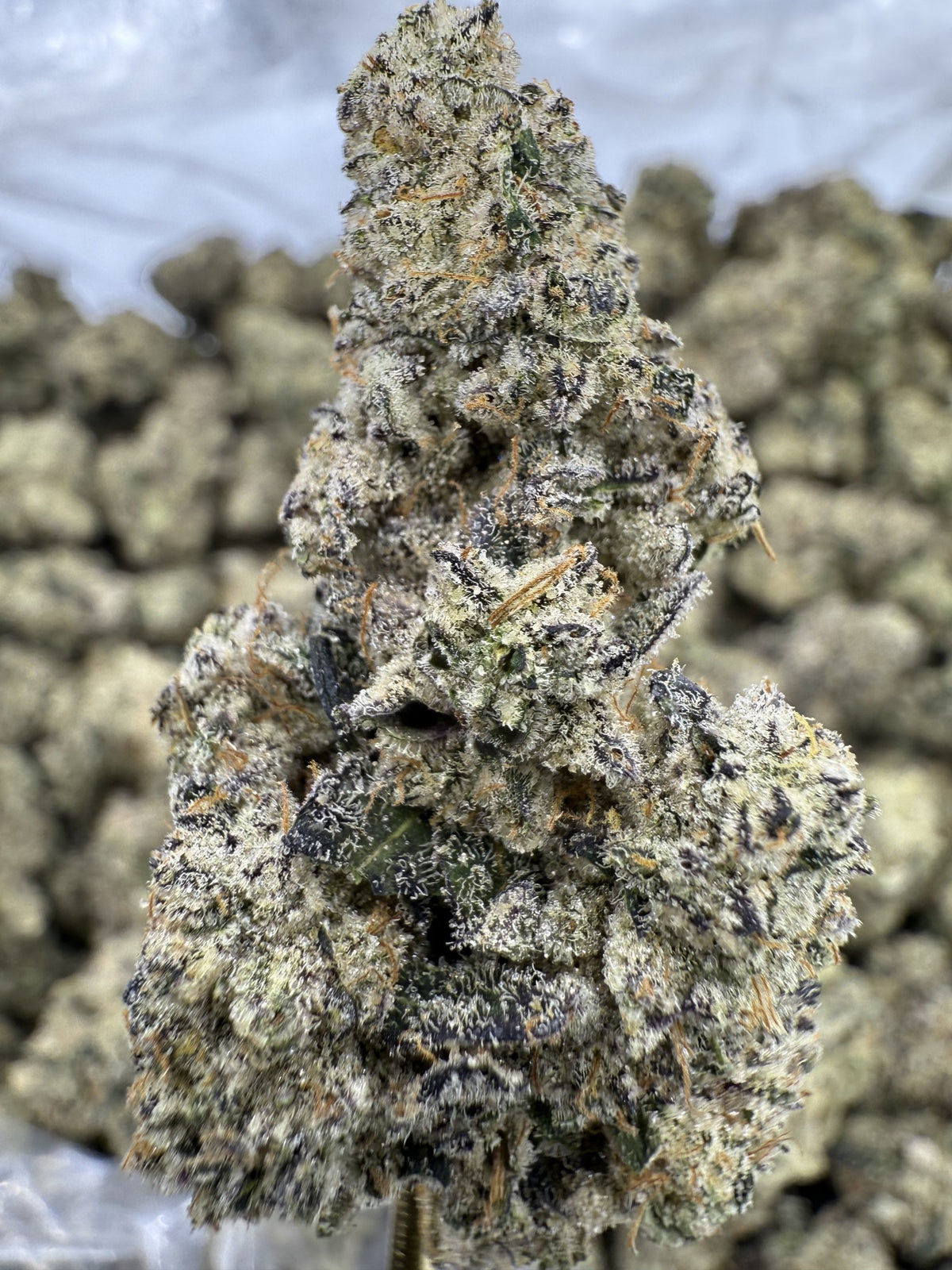 Pucker Up - THCA Flower - Indoor Top Cut Exotic