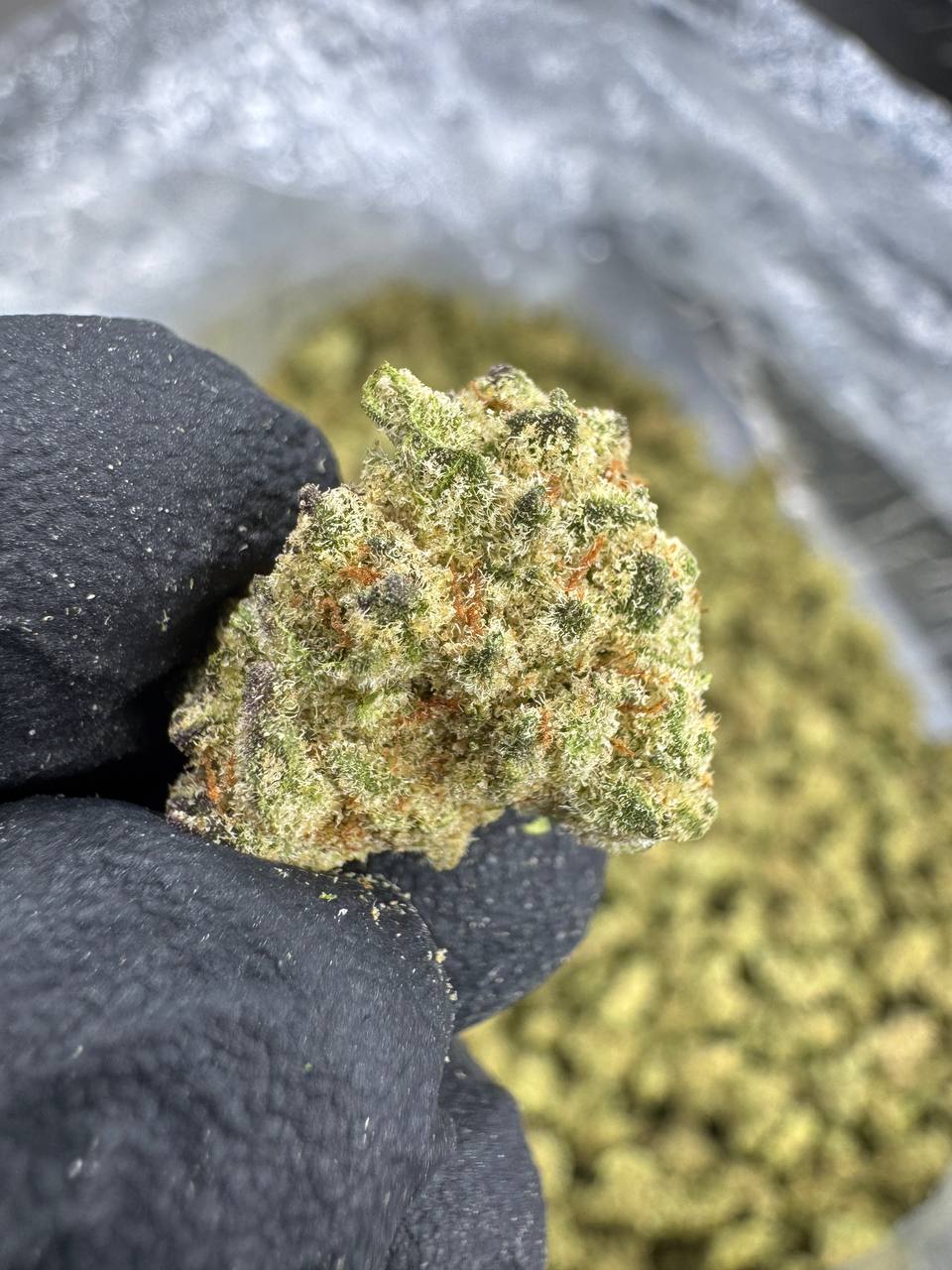 Punch Breath - THCA BULK Flower - Greenhouse Smalls