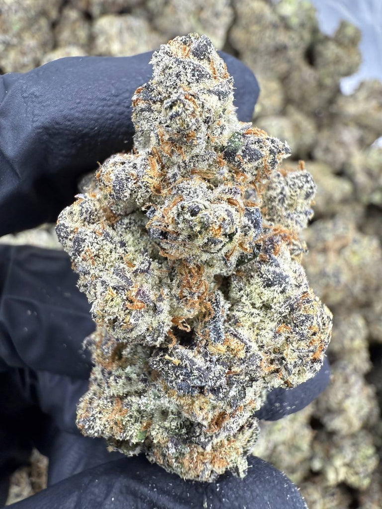 Pure Michigan - THCA BULK FLOWER - EXOTIC INDOOR
