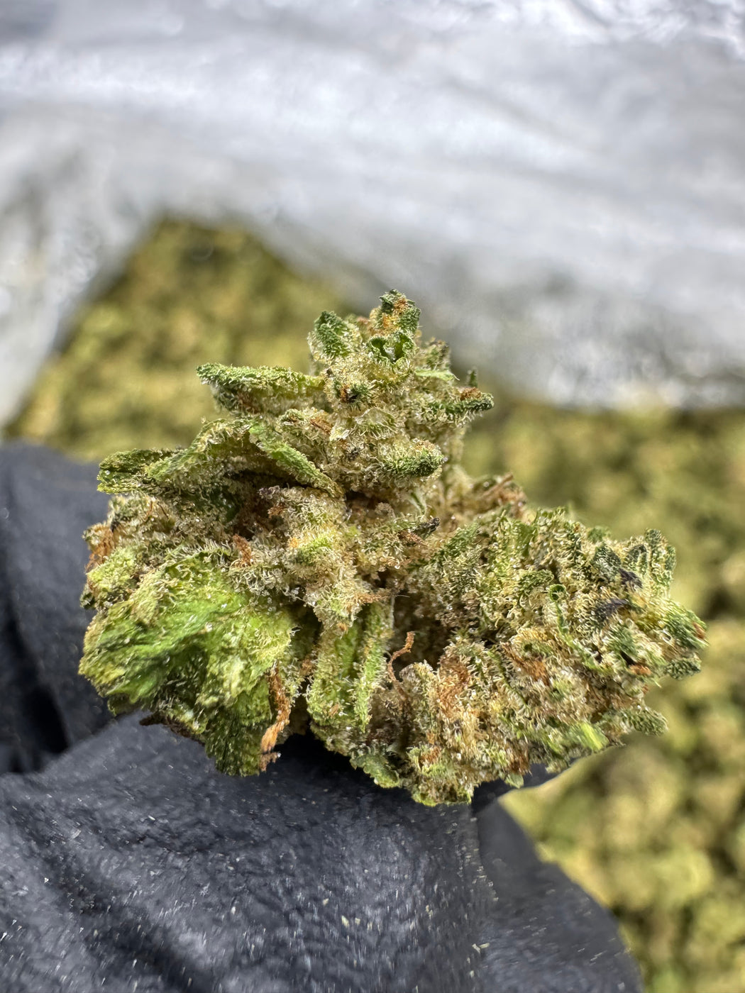 Pure Michigan - Gold Nuggets - THCa Flower TOP SHELF SMALLS