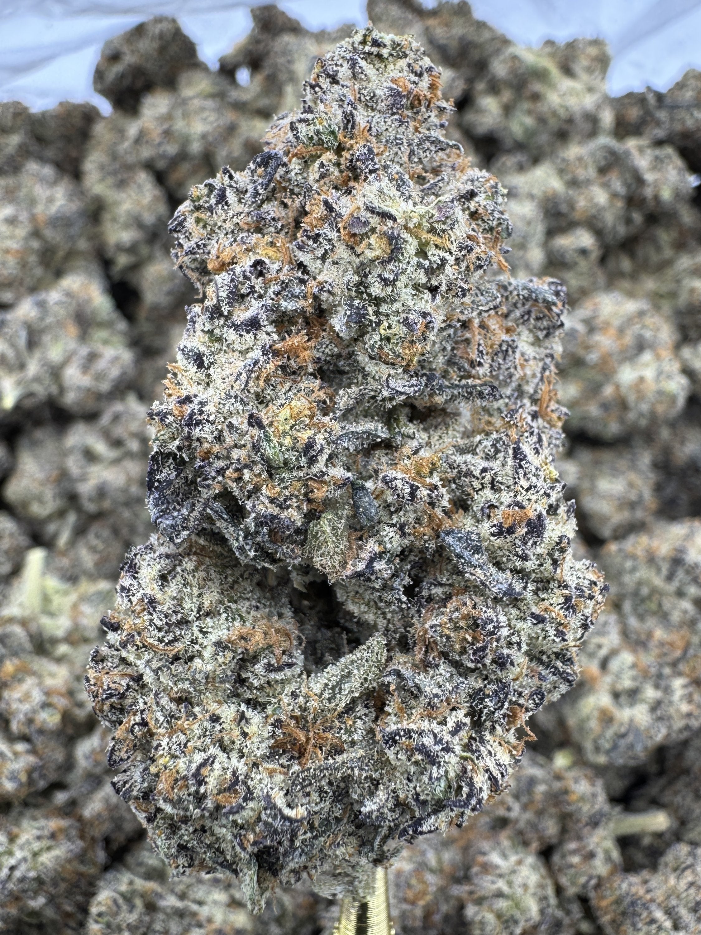 Pure Michigan - THCA BULK Flower - Indoor