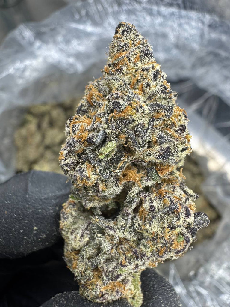 Pure Michigan - THCA BULK FLOWER - EXOTIC INDOOR